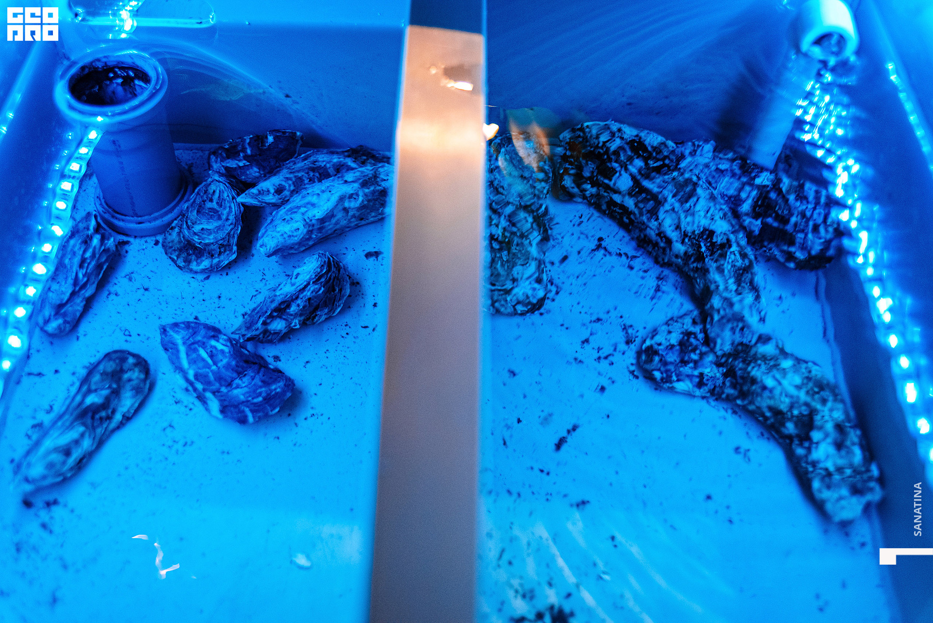 0050_2021-04-03_20-29-22 - Sanatina.jpg