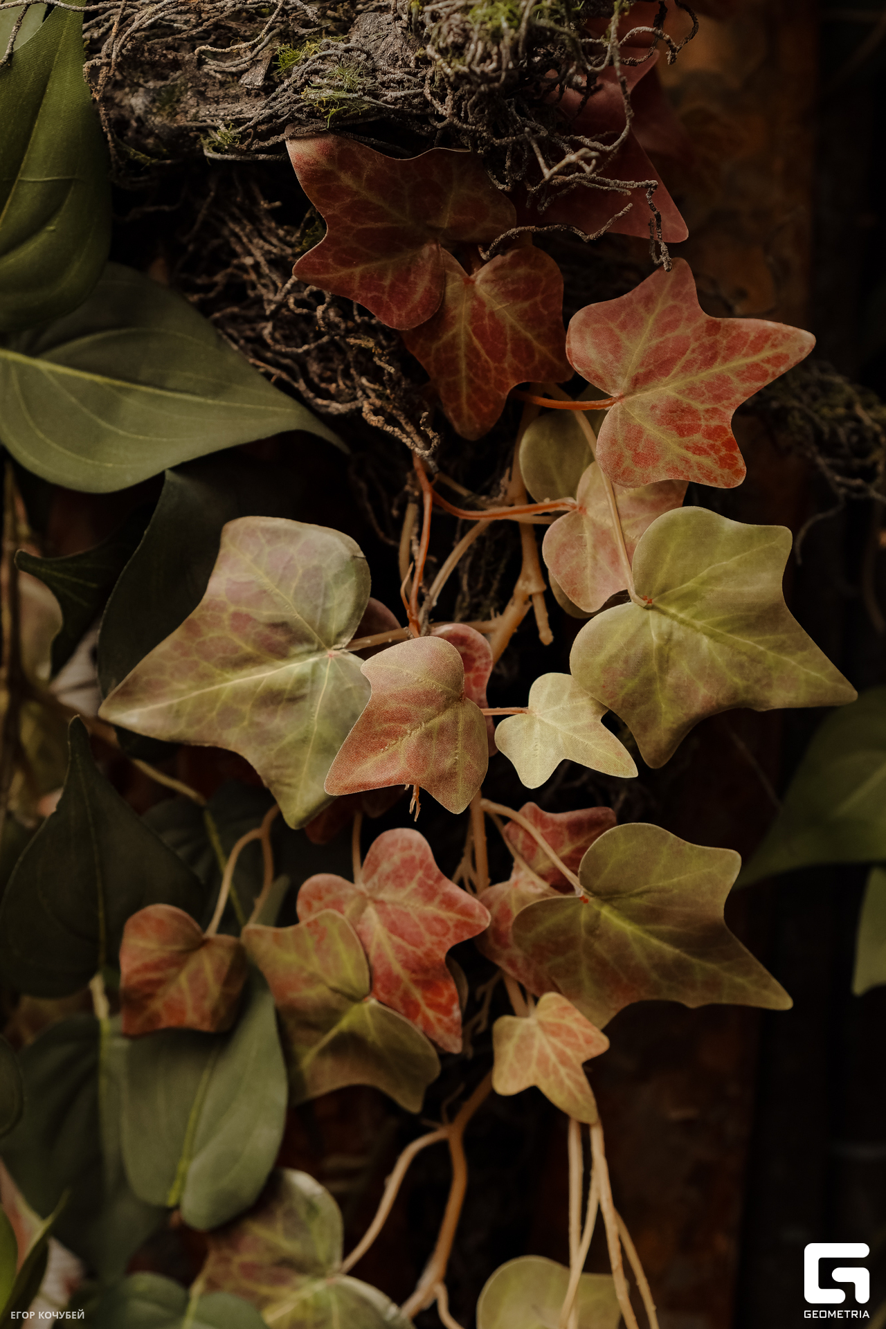 240628 Кочубей 107.jpg