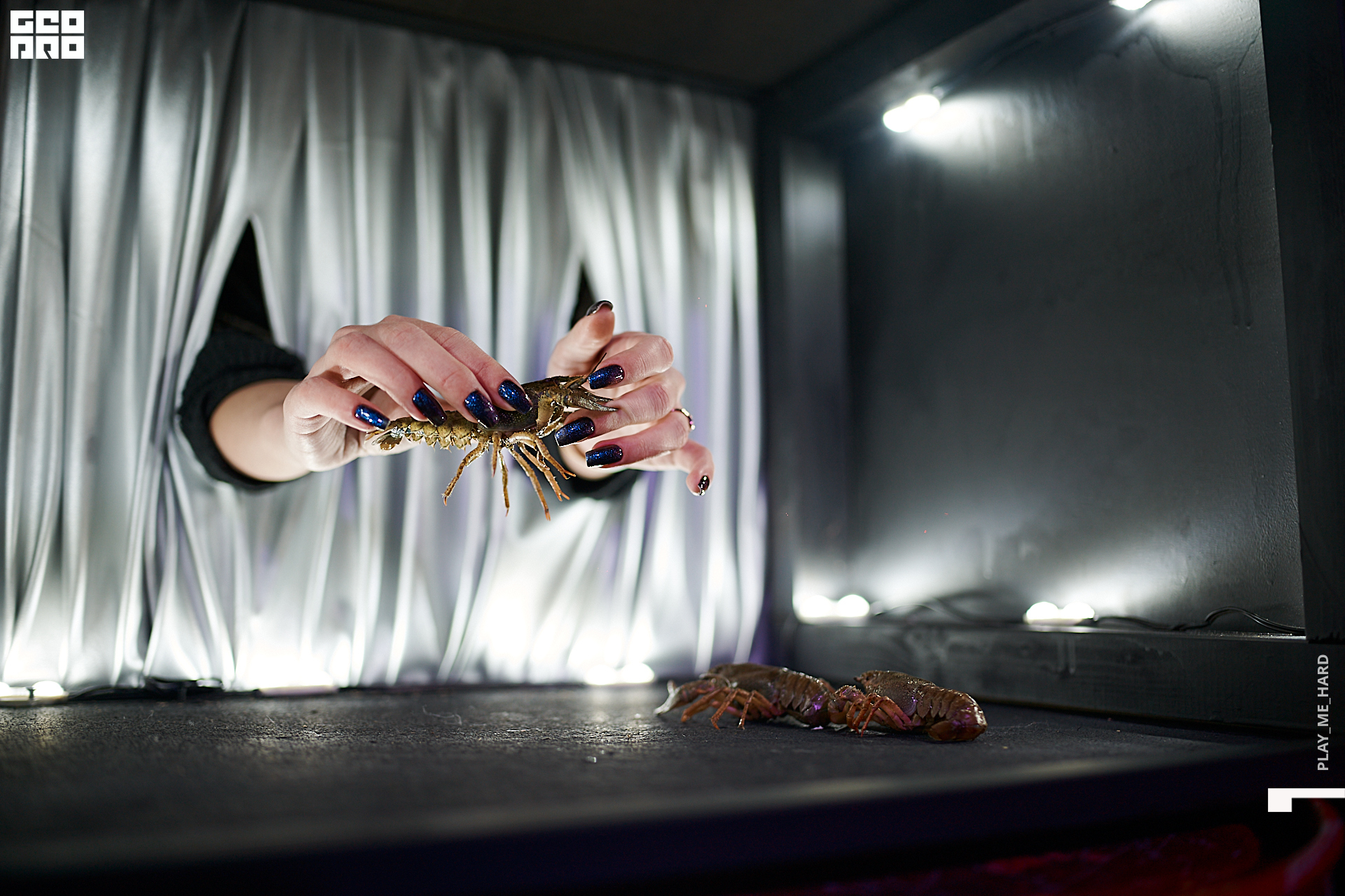 гвозди 052.jpg