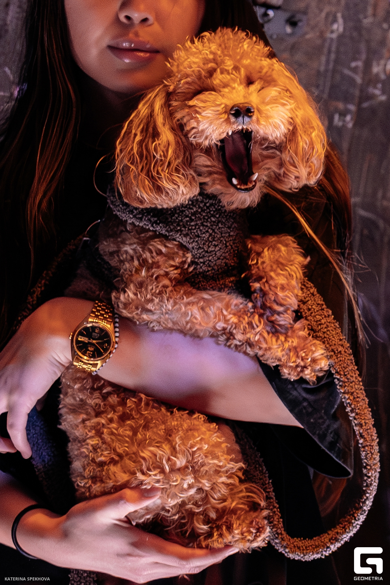 0J2A3908-Улучшено-Ум. шума.jpg