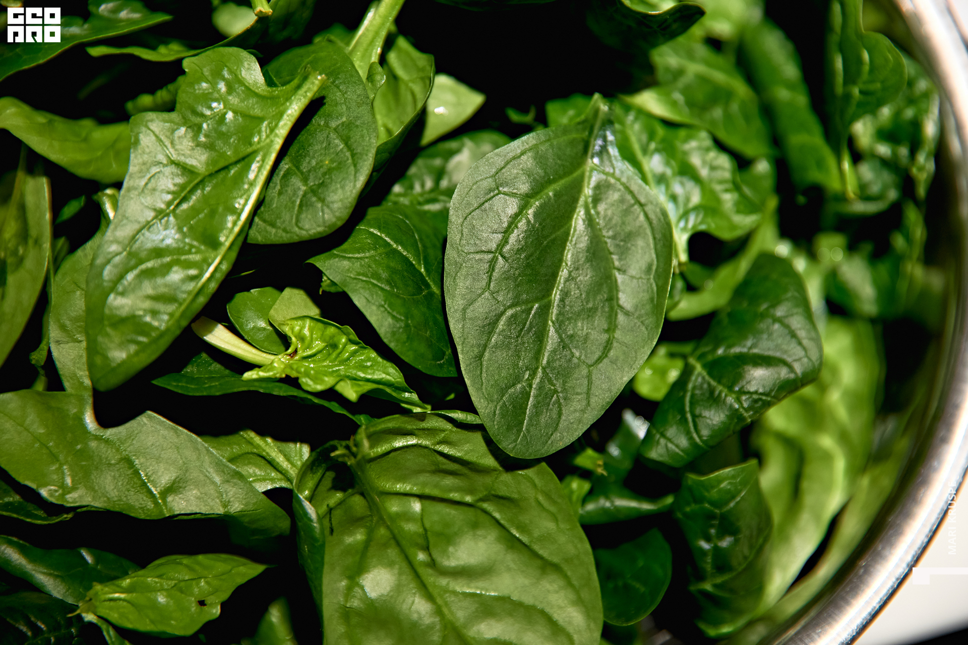 мари0023 (2).jpg