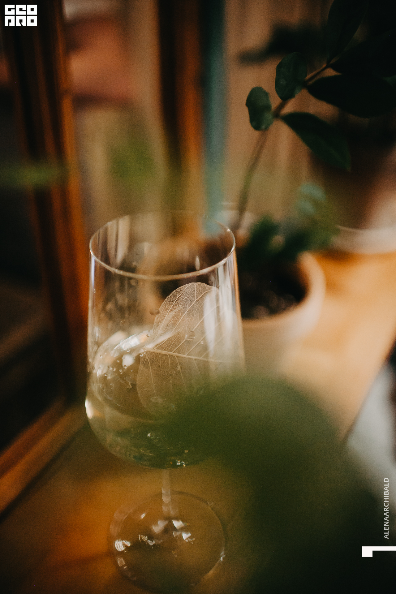 2022-03-06 19-00-24_alenaarchibald061.JPG