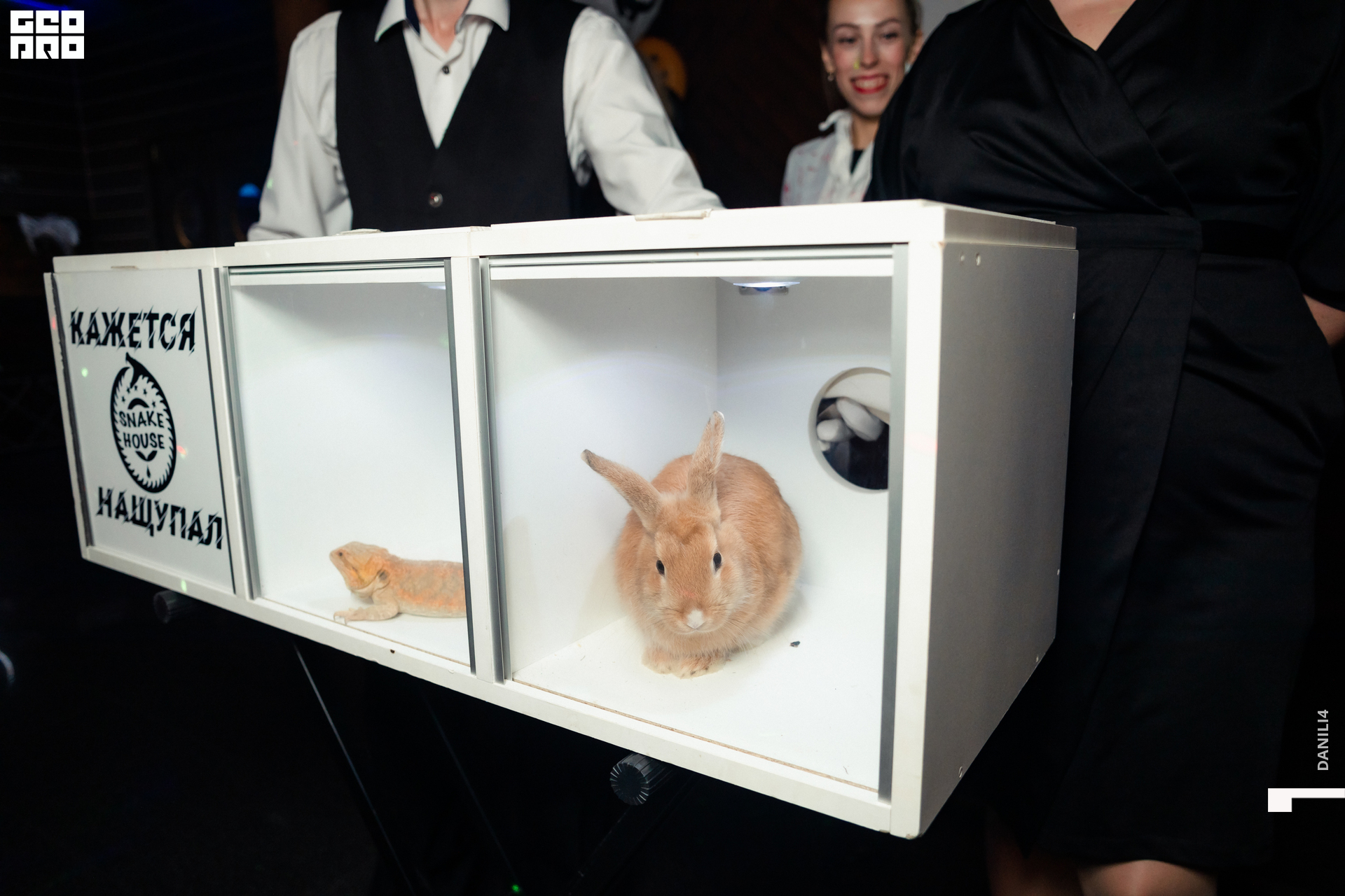 Тортуга хеллоуин 29.10.22-23.jpg