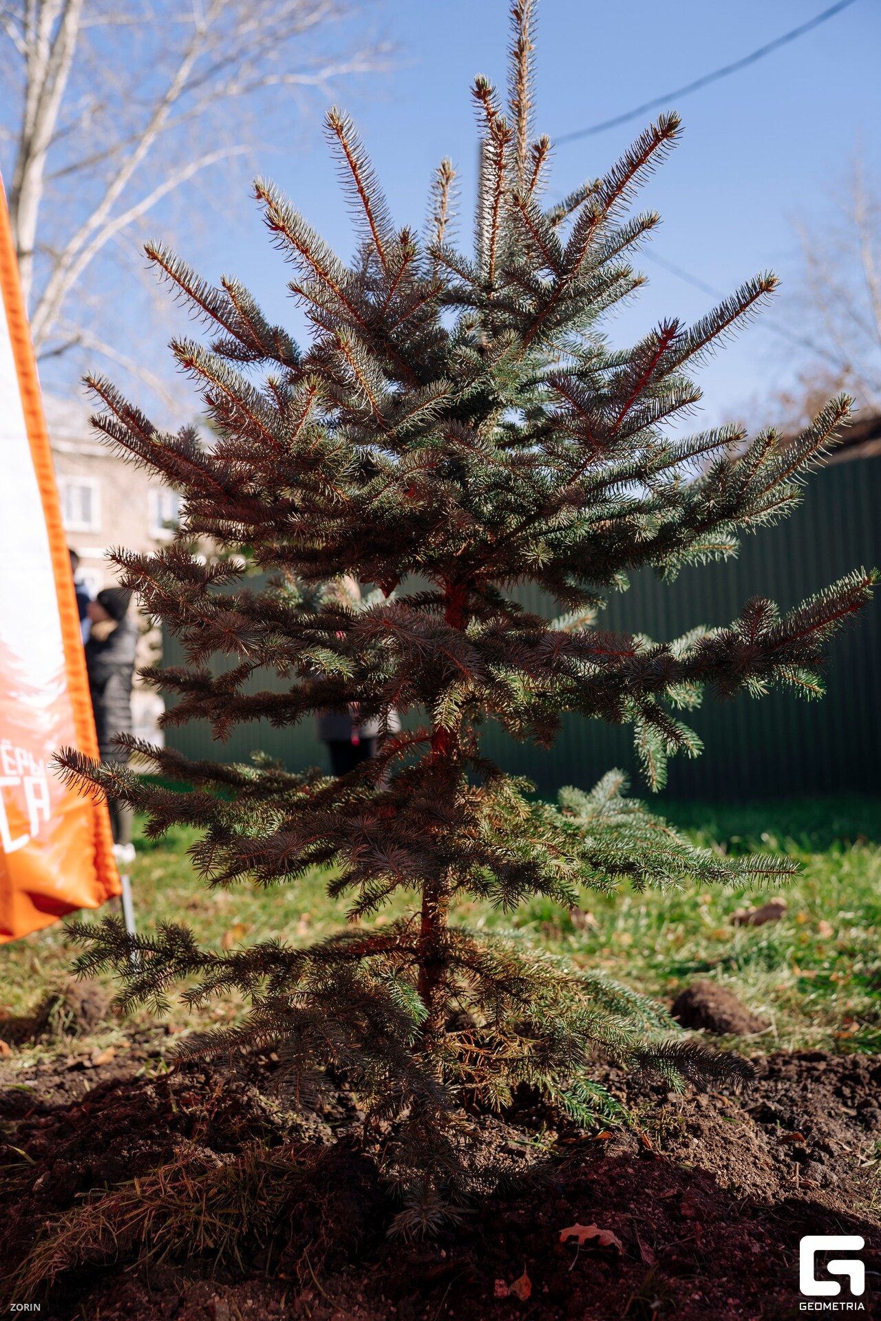 052_11-16-29 _07-10-25_Zorin_resized.jpg