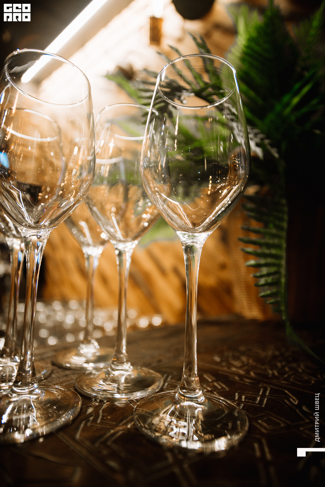 2021-12-29 20-18-15_Швец.jpg