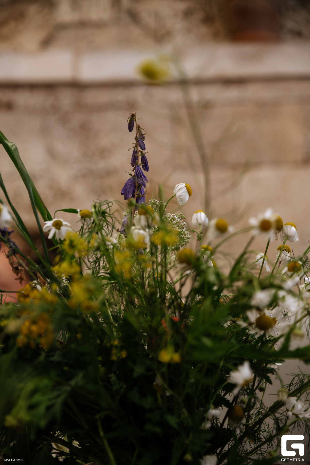 060 - 16_09_25 - 20_14_59 - Bratilov.jpg