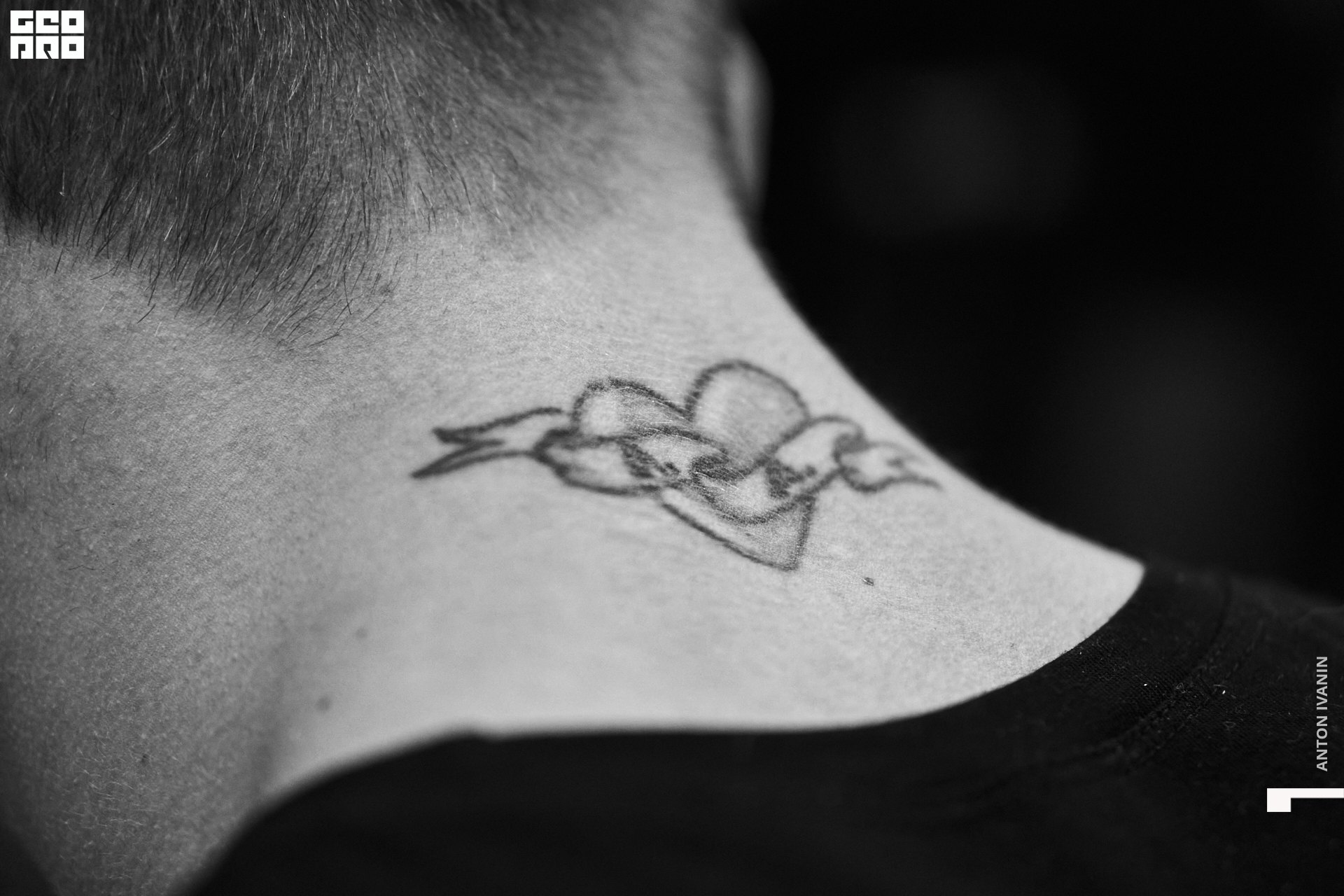 DSC00140 (Копировать).jpg