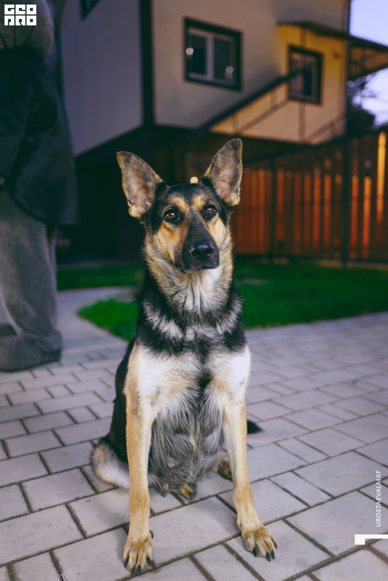 без имени-77.jpg