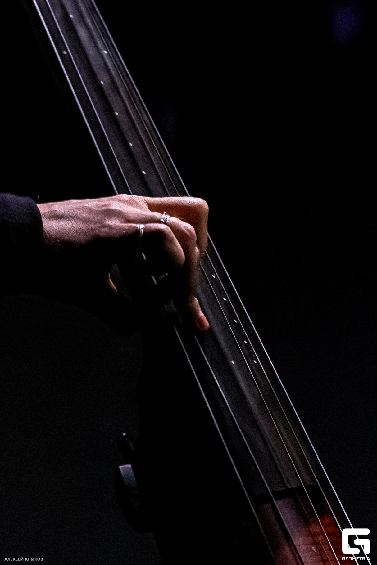 Концерт «Dark jazz» 15