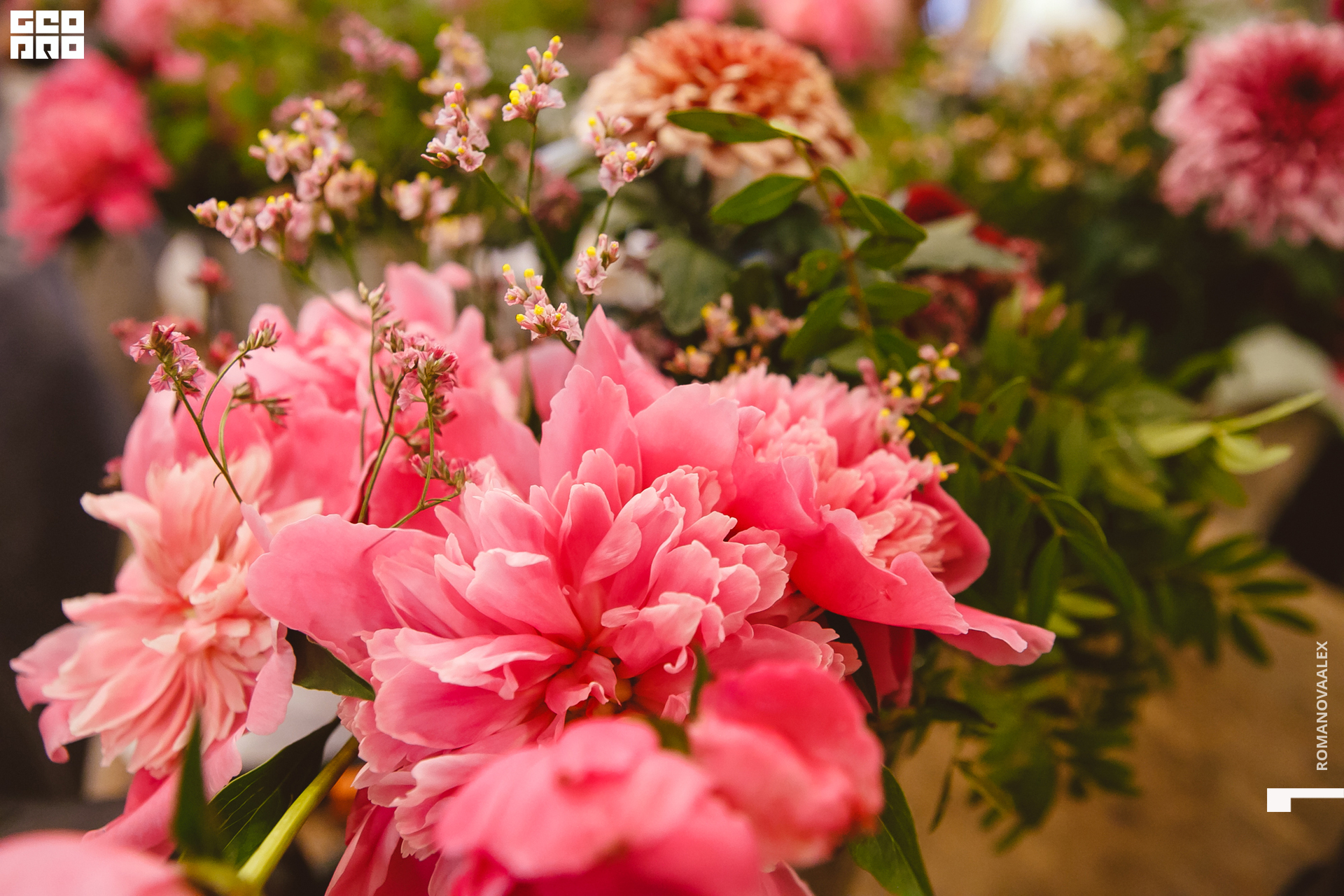 007 210615  201540 _romanovaalex.jpg