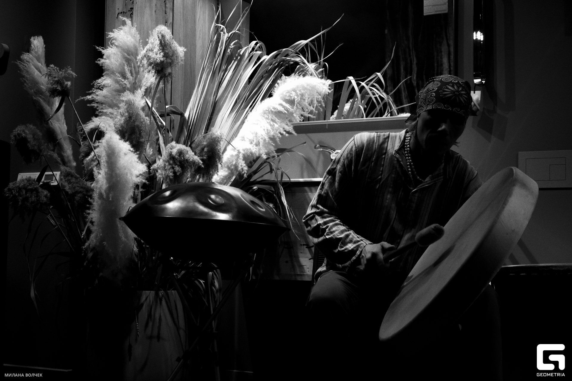 002_20231111 Волчек.jpg