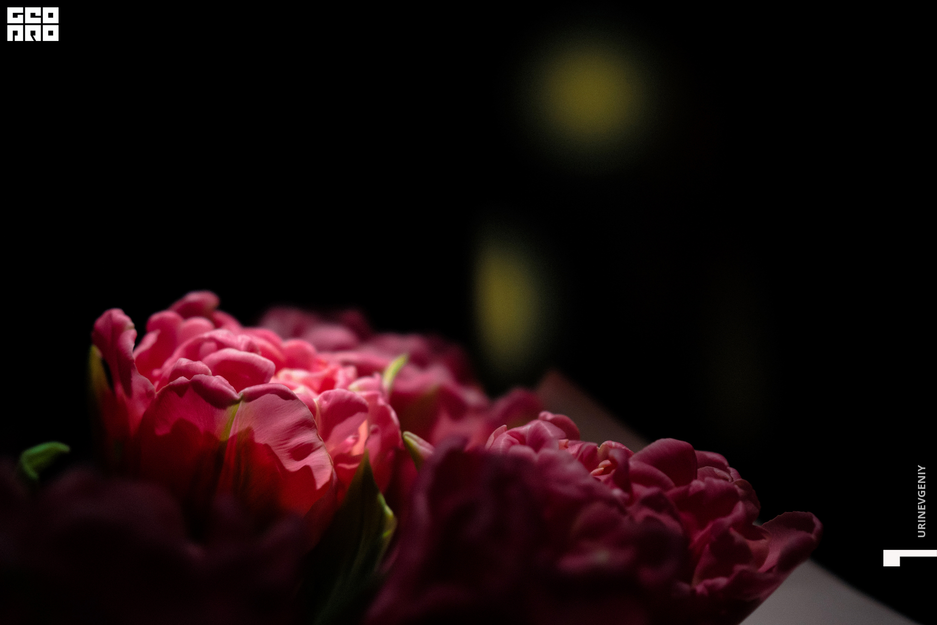 08.03.2021. Café Krasnodar (51).jpg