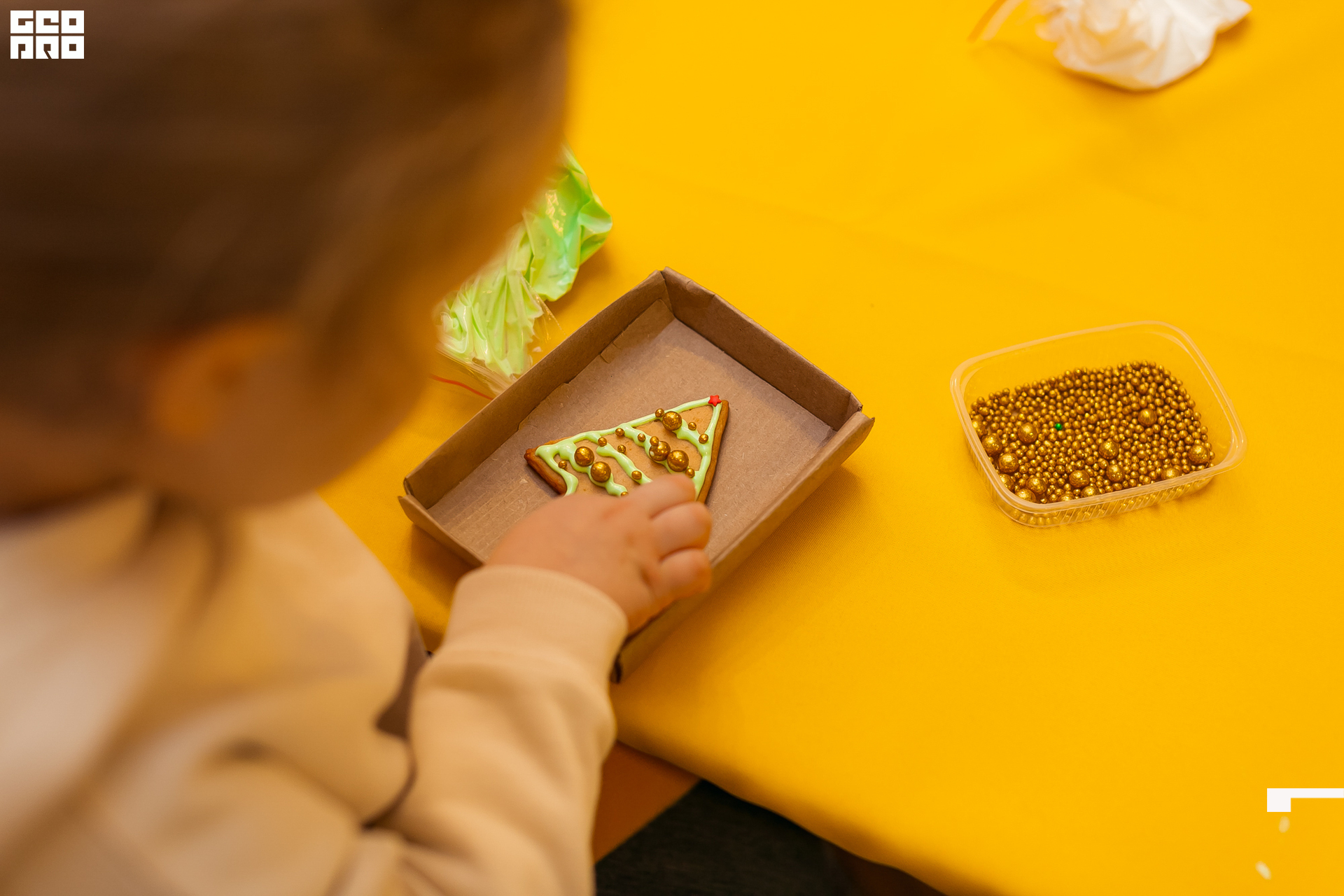 096-20211211-16-11.12.21 - Ёлки.jpg