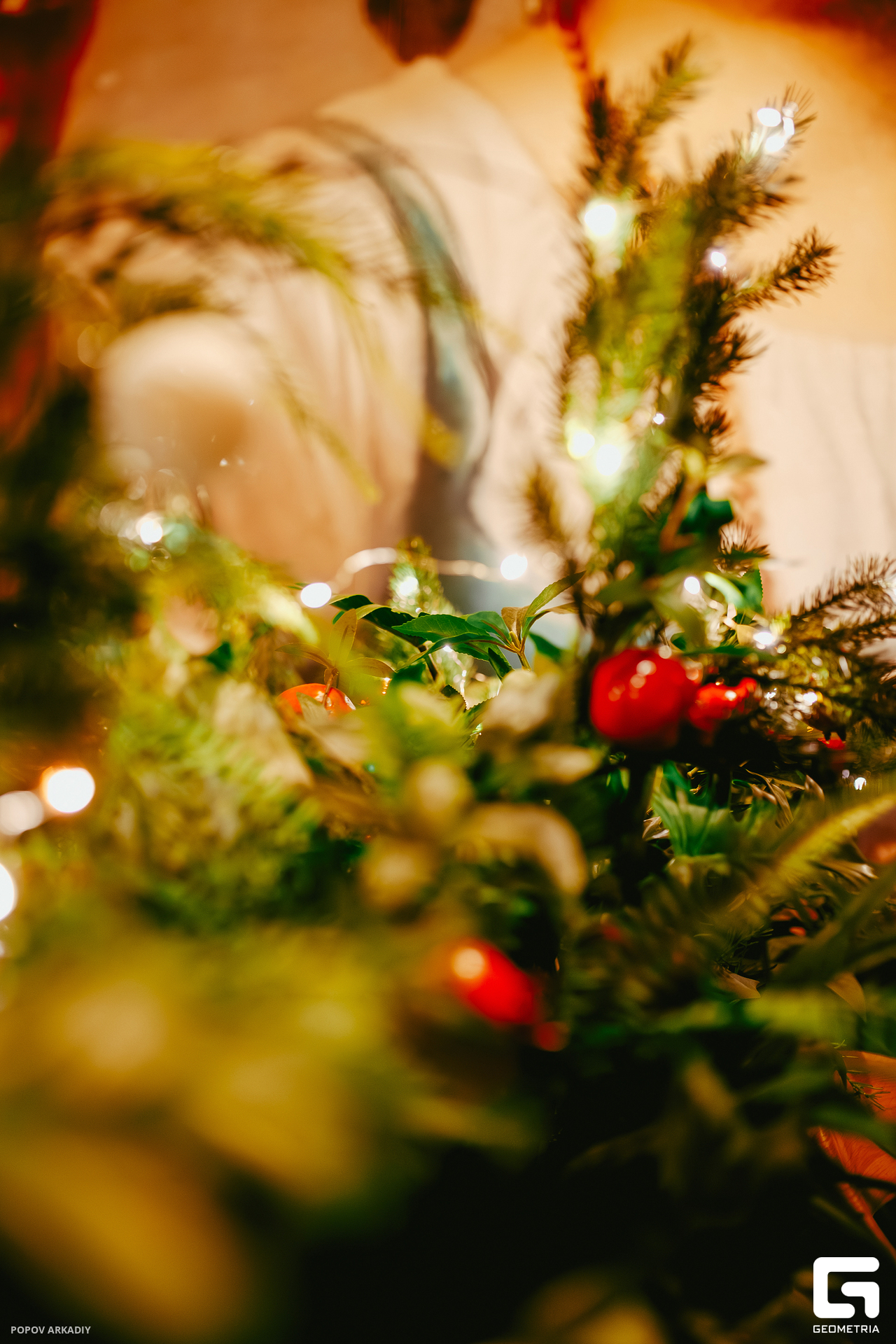 Top (144 из 142).jpg