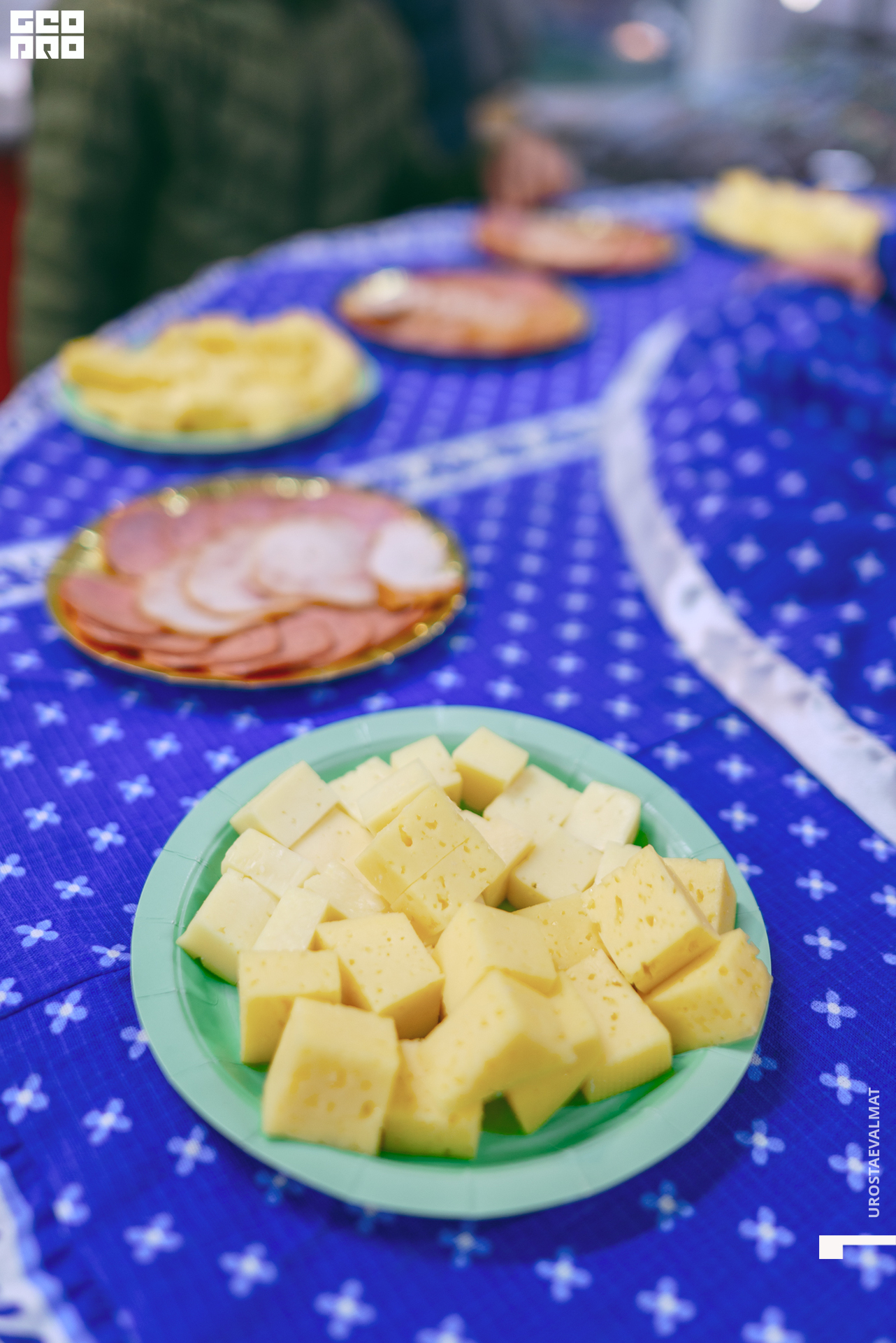 без имени-25.jpg