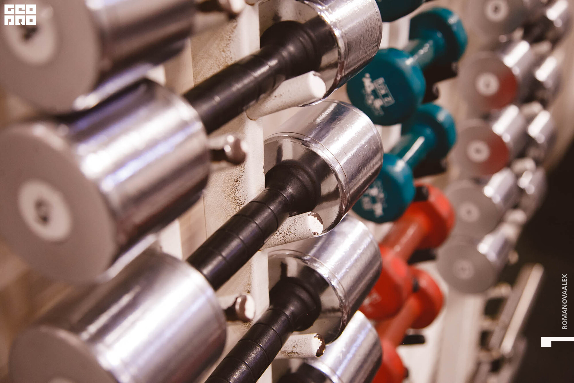 175 211127  133019 _ale_romanova.jpg