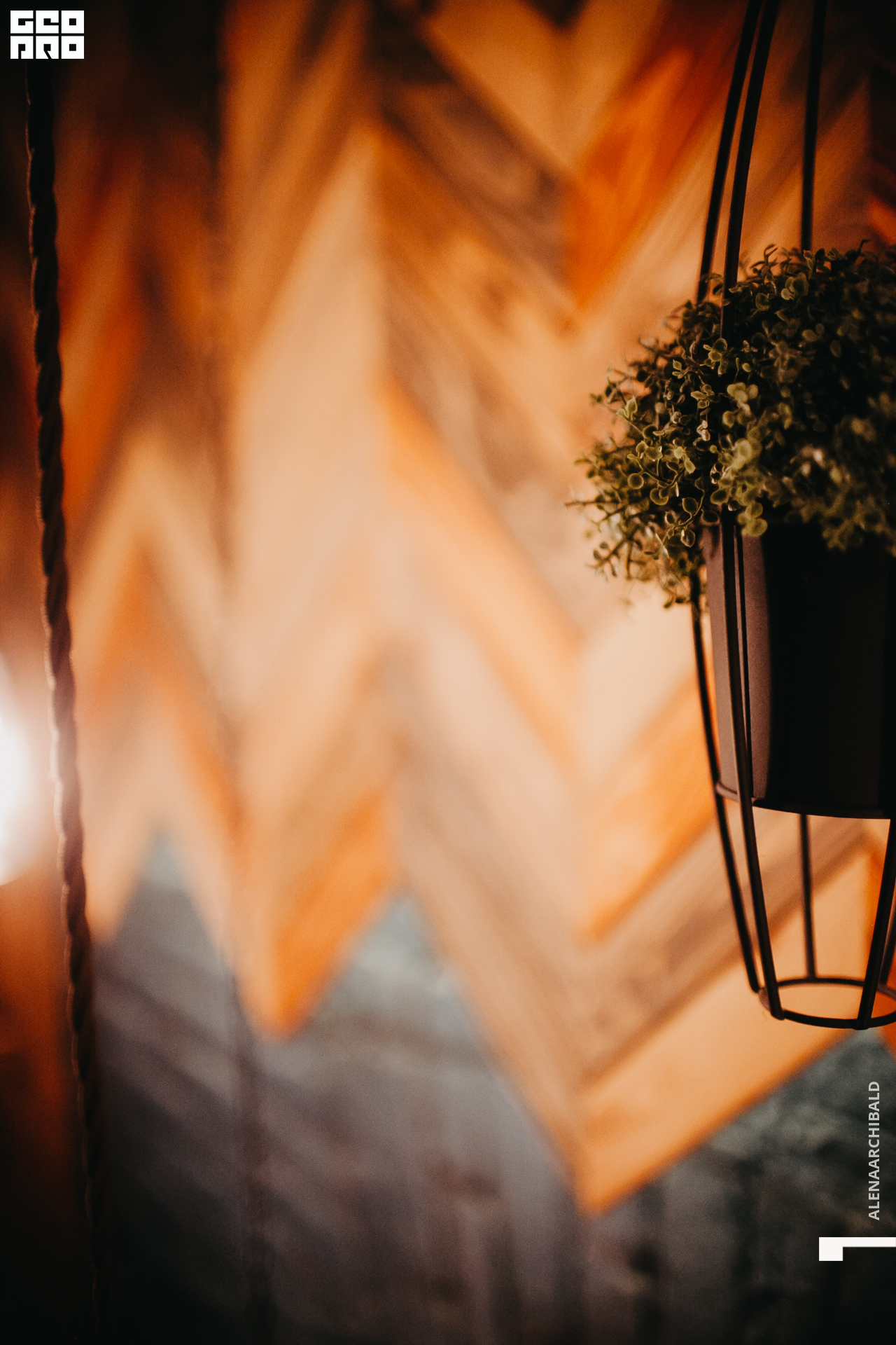 2020-11-14 22-00-10_alenaarchibald_040.JPG