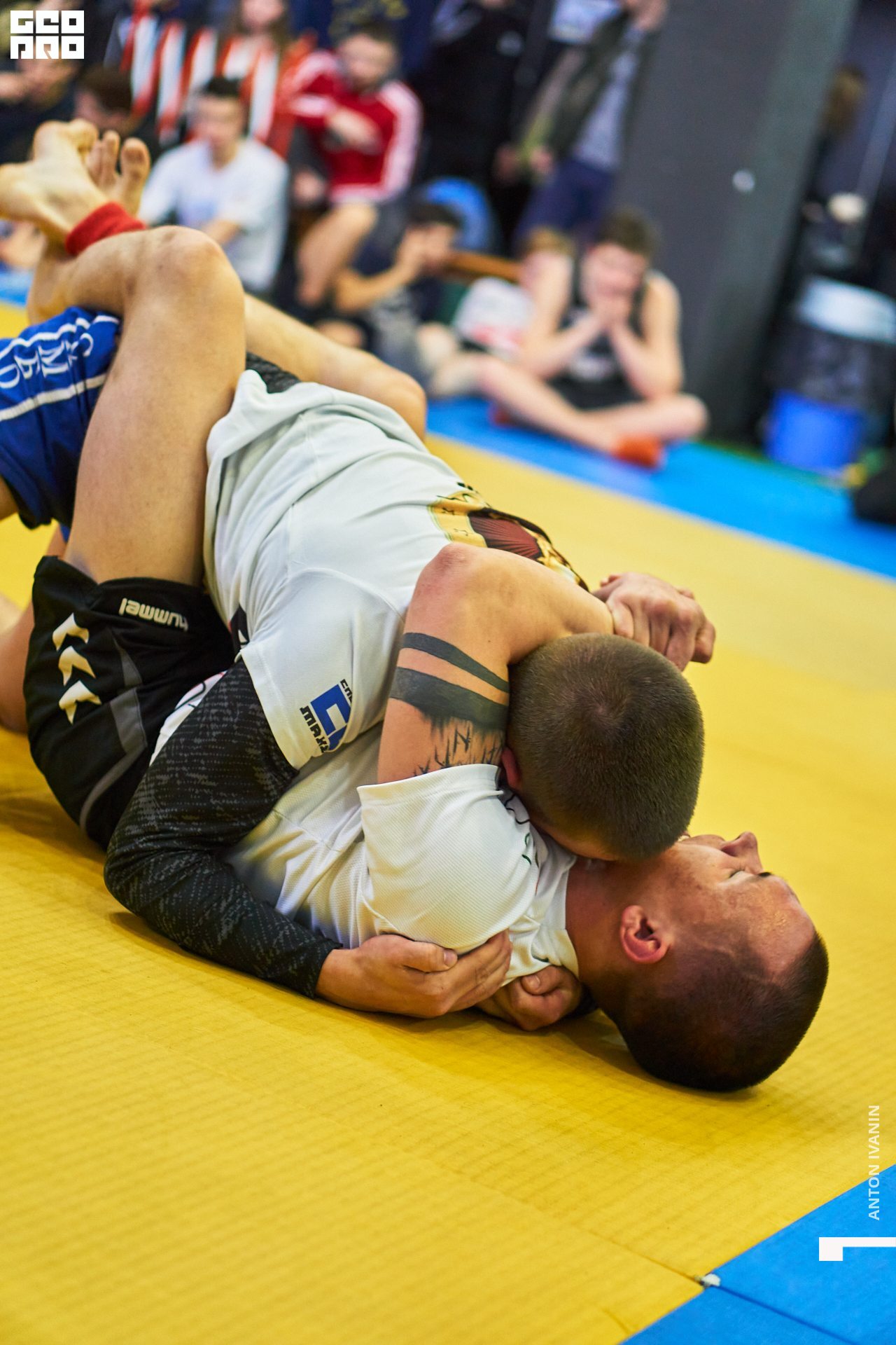 DSC09074 (Копировать).jpg