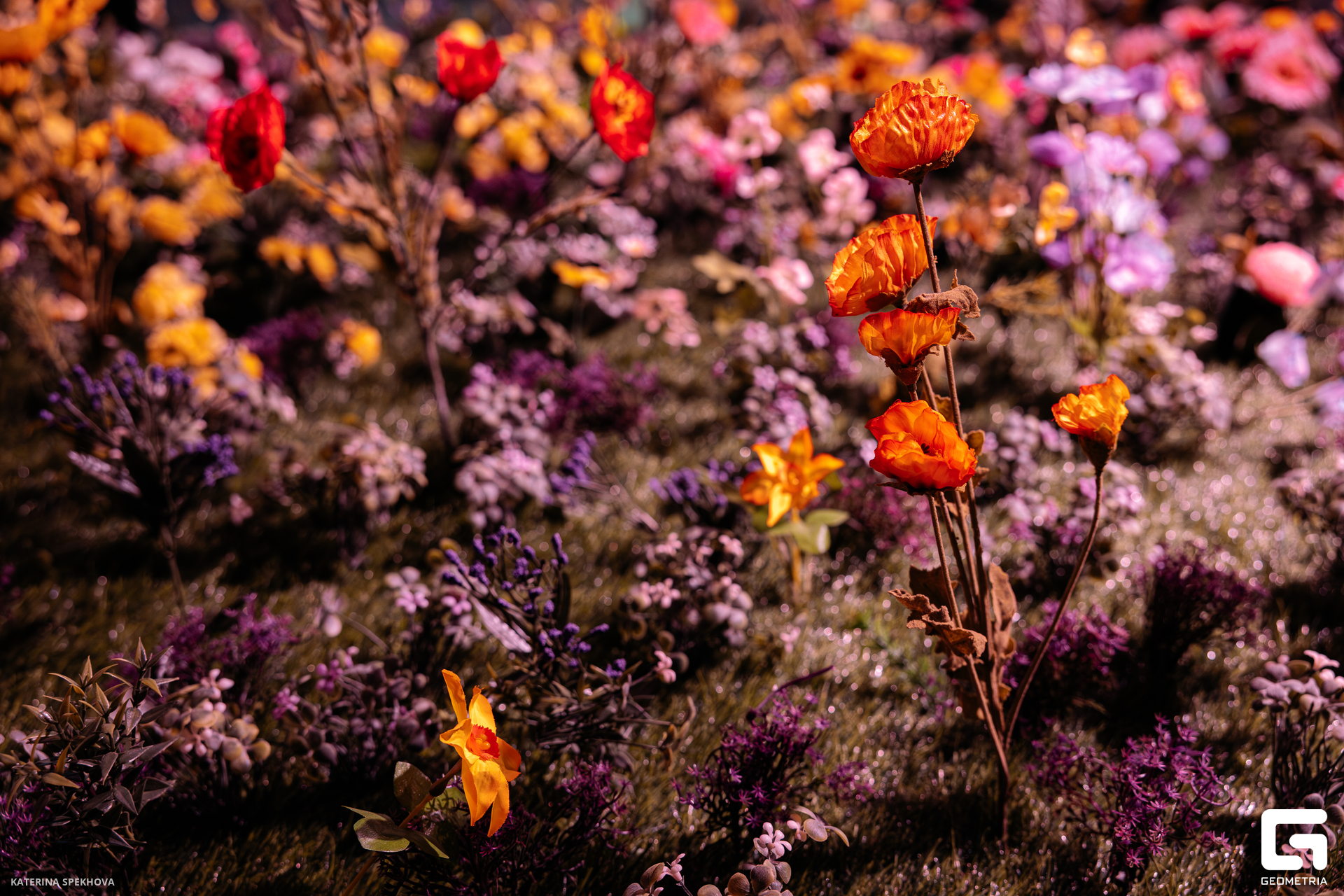 0J2A3017-Улучшено-Ум. шума.jpg