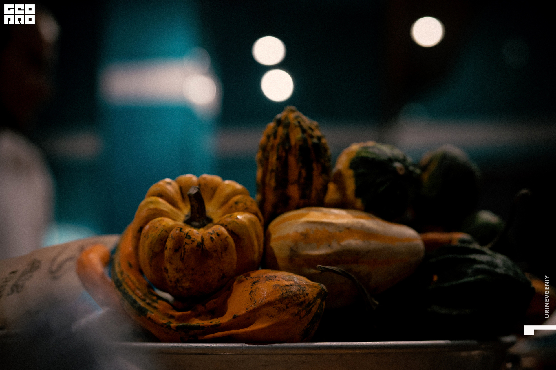 28.10.2021. Kraken (94).jpg