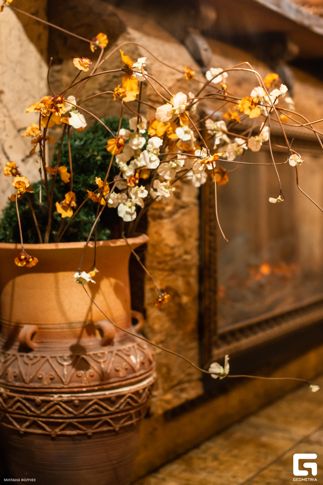 092_20230421 Волчек.jpg