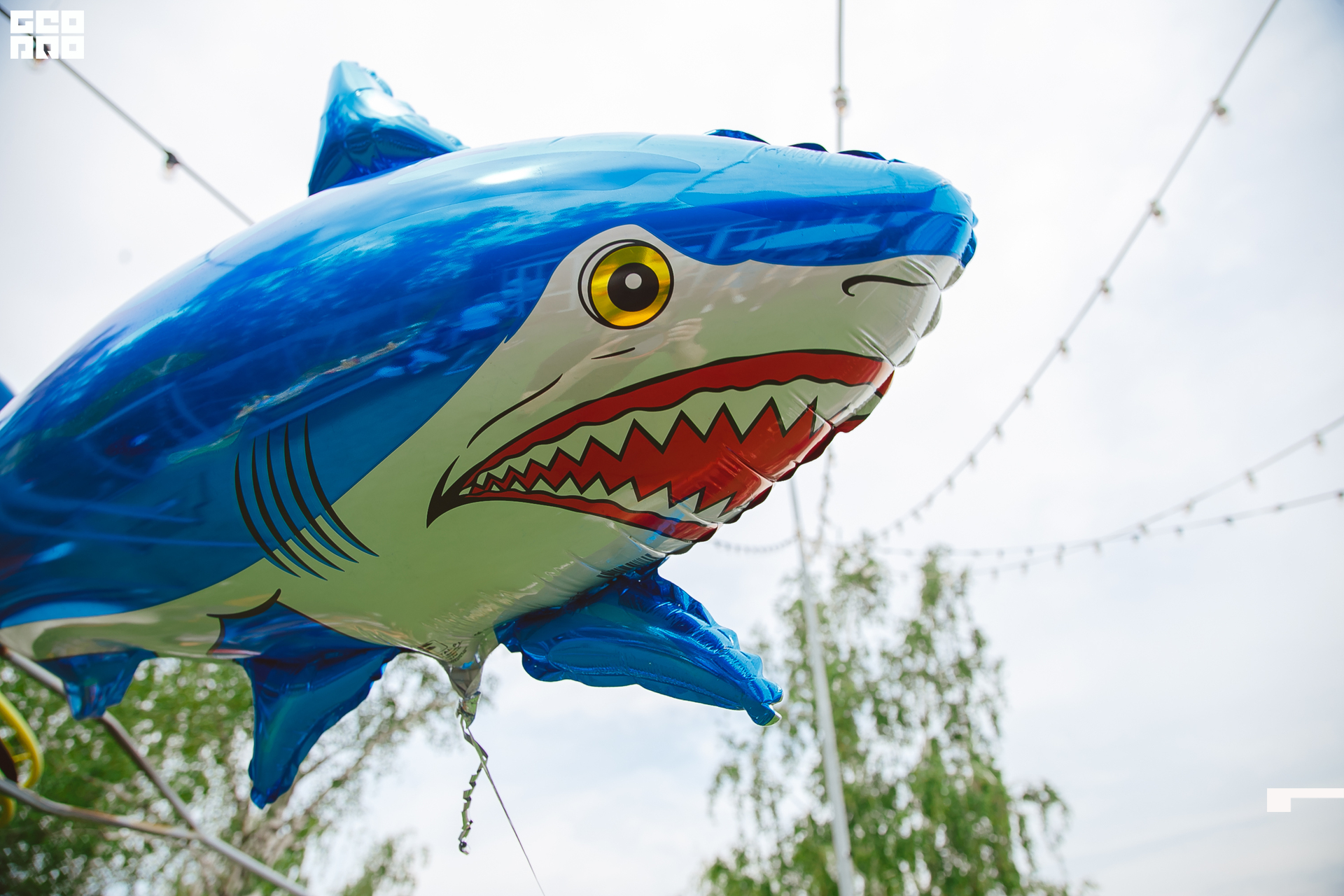 082  06192022  233423 .jpg