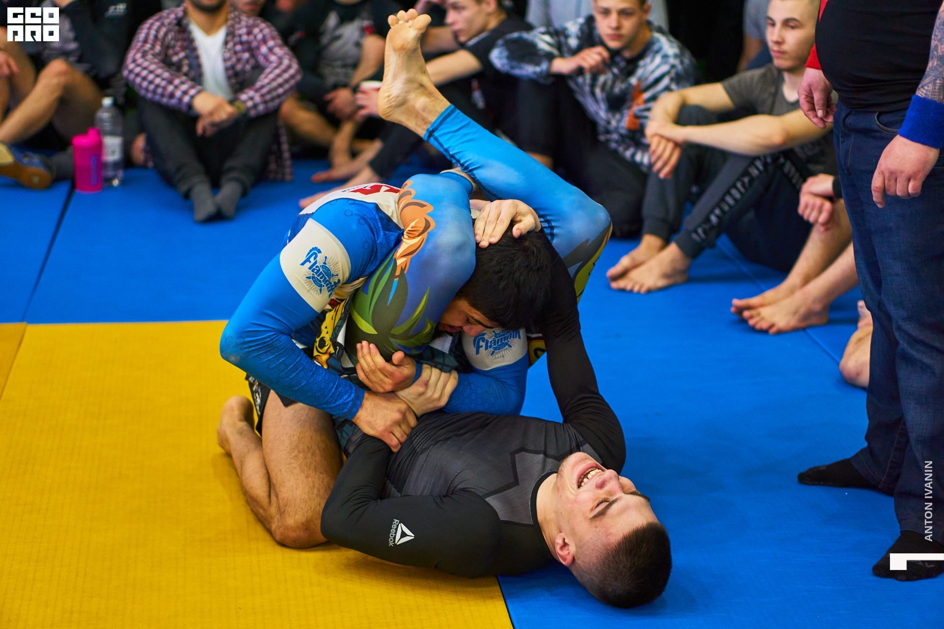 DSC09529 (Копировать).jpg