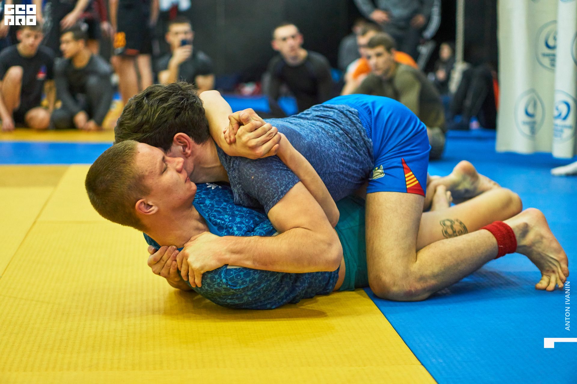 DSC08685 (Копировать).jpg