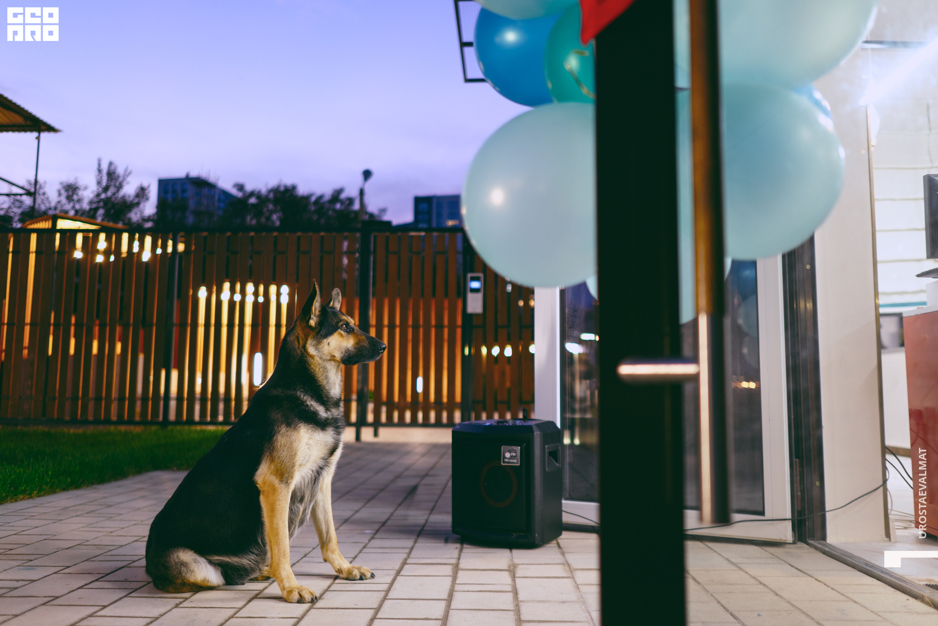 без имени-79.jpg