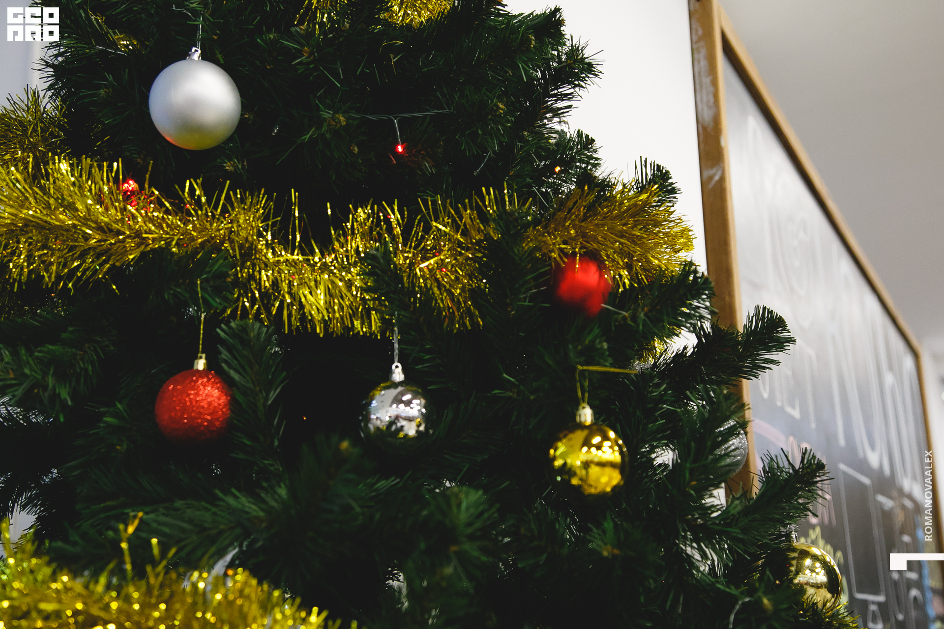 031 211204  174549 _ale_romanova.jpg