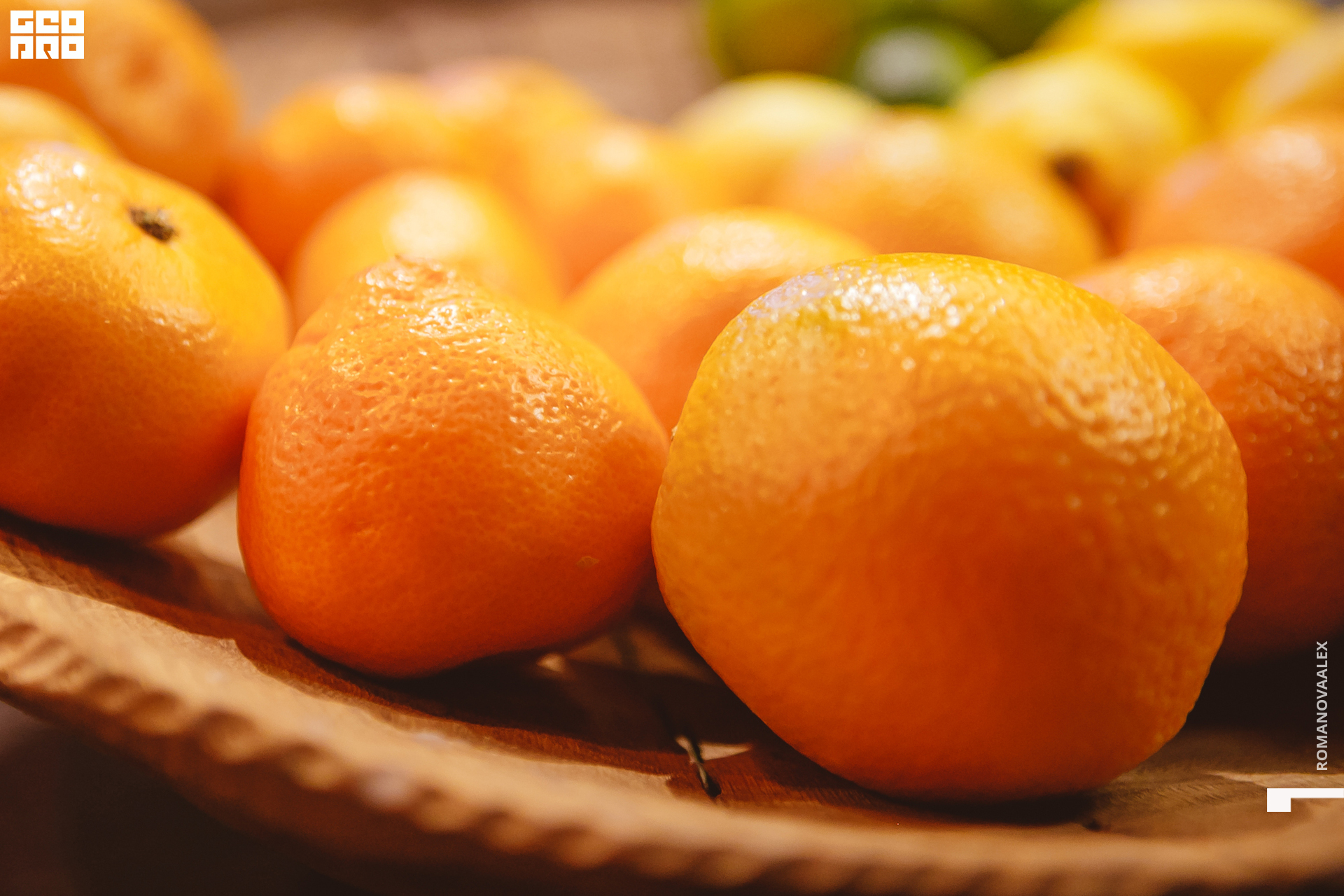 022  ale_romanova.jpg