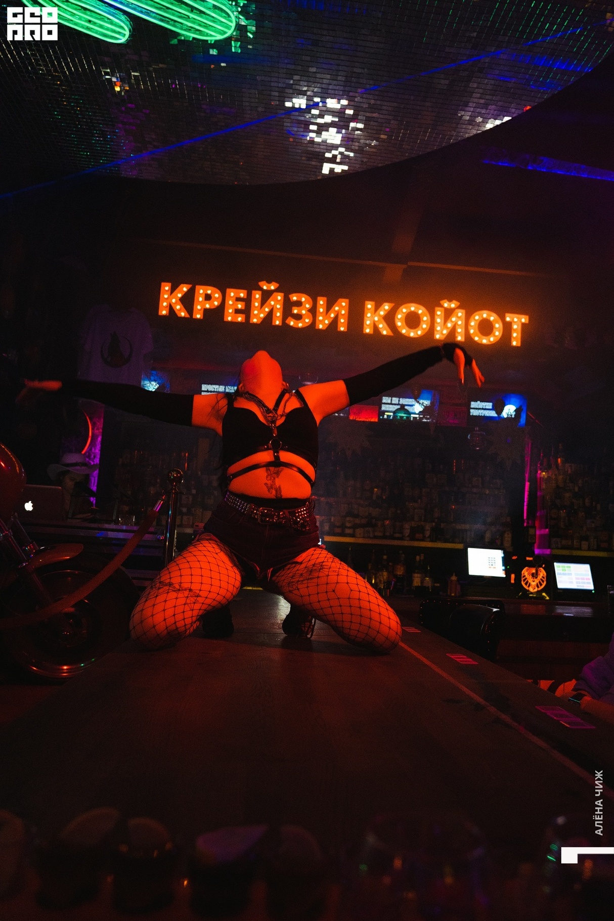 Новый год 26