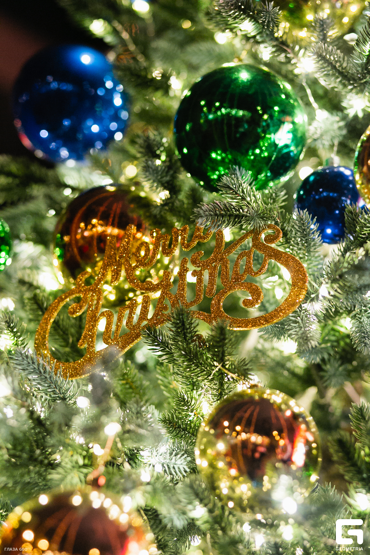 012хинкали танцевали 22.12.jpg