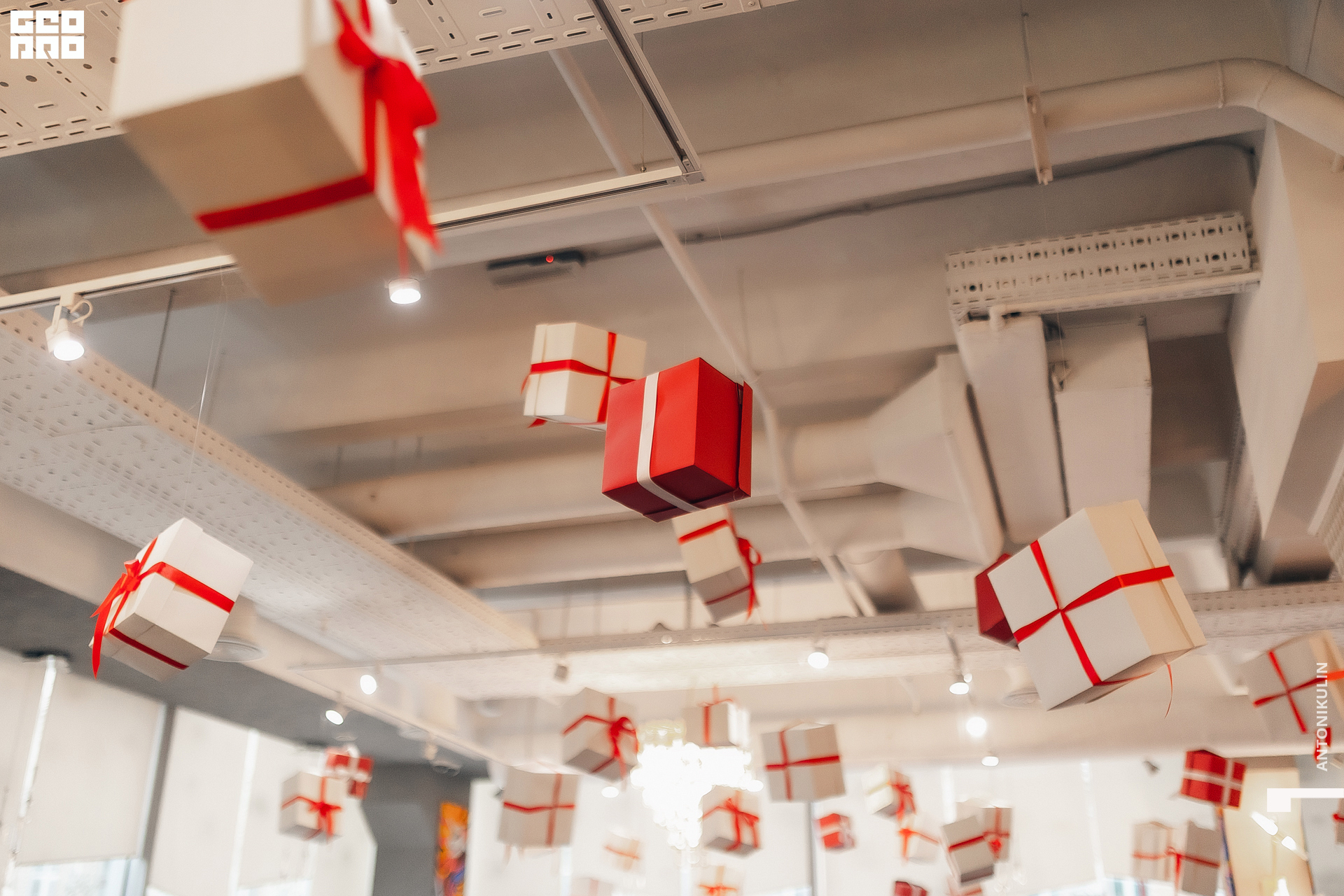 untitled shoot-3632.jpg