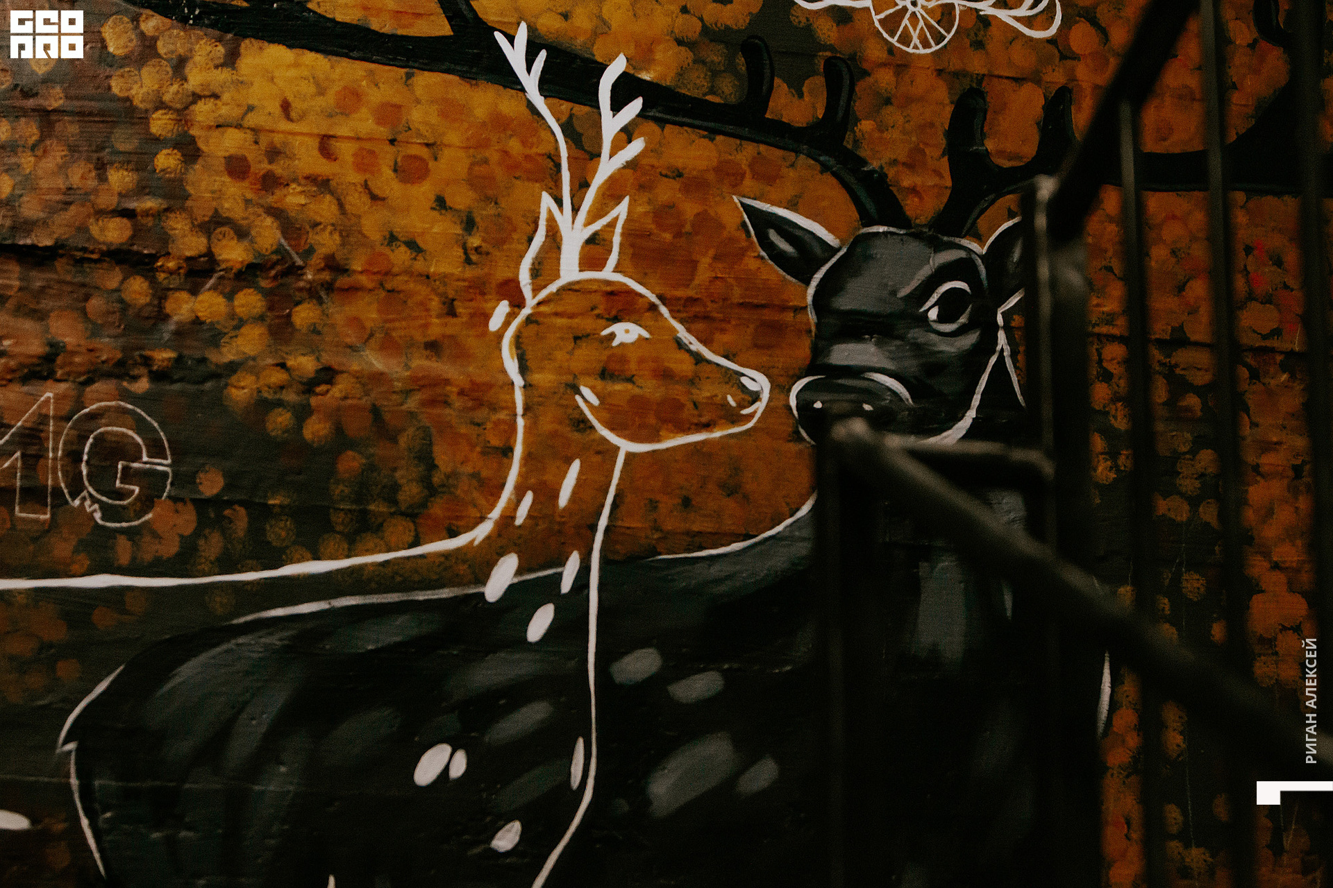 ПИЩЕРА 2 МАЯ 202200011.jpg