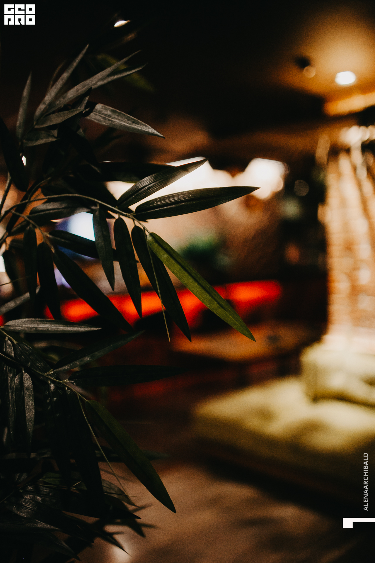 2021-12-25 20-00-41_alenaarchibald036.JPG