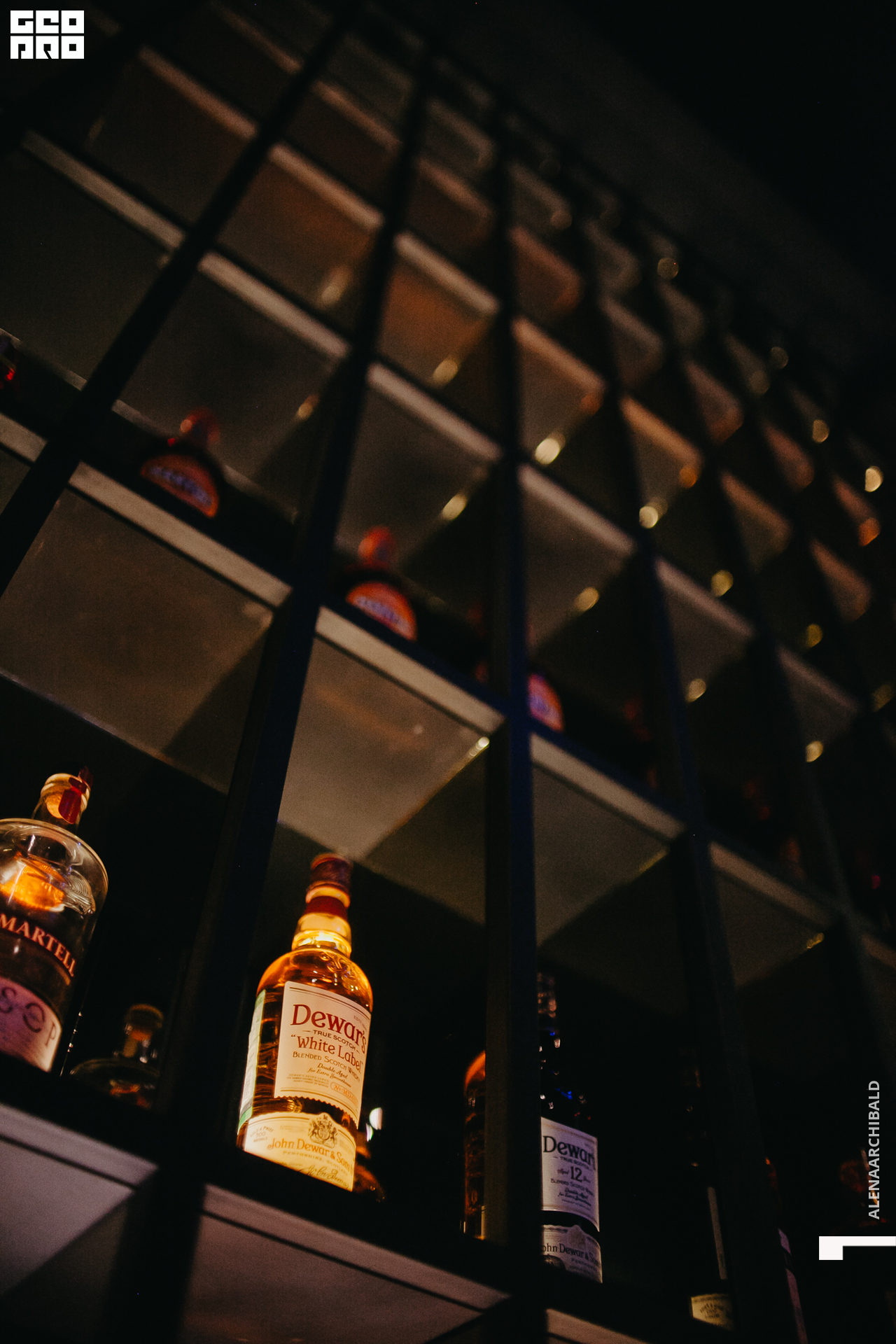 2022-11-18 20-00-27_alenaarchibald103.JPG