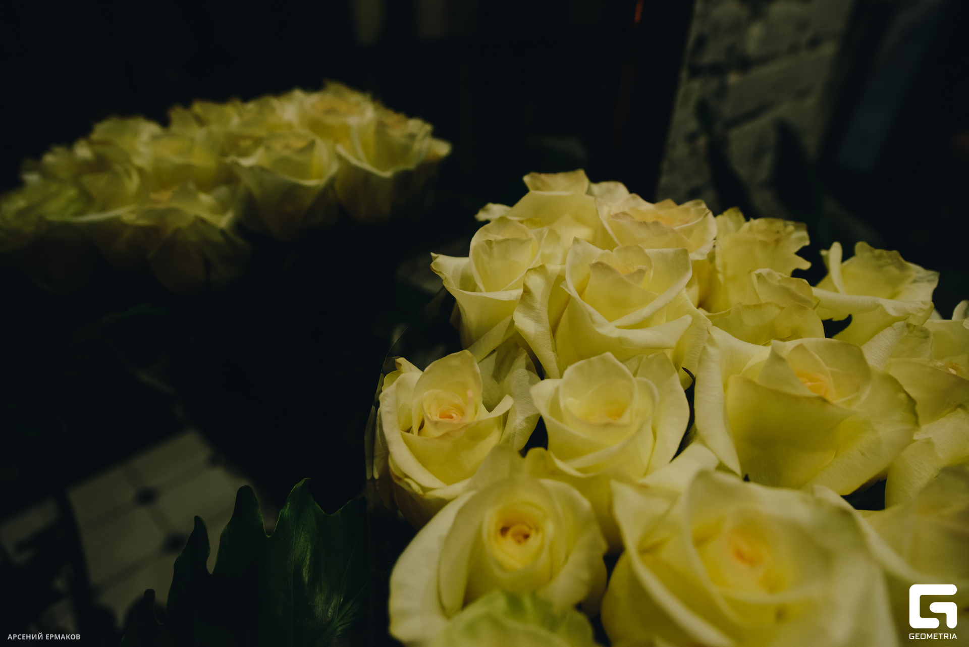 035 06272023_062723_ermakov.jpg