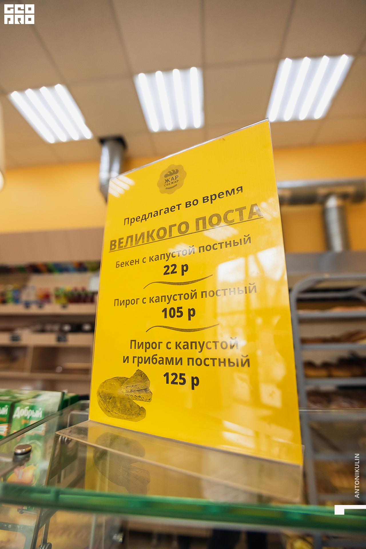 untitled shoot-5514.jpg