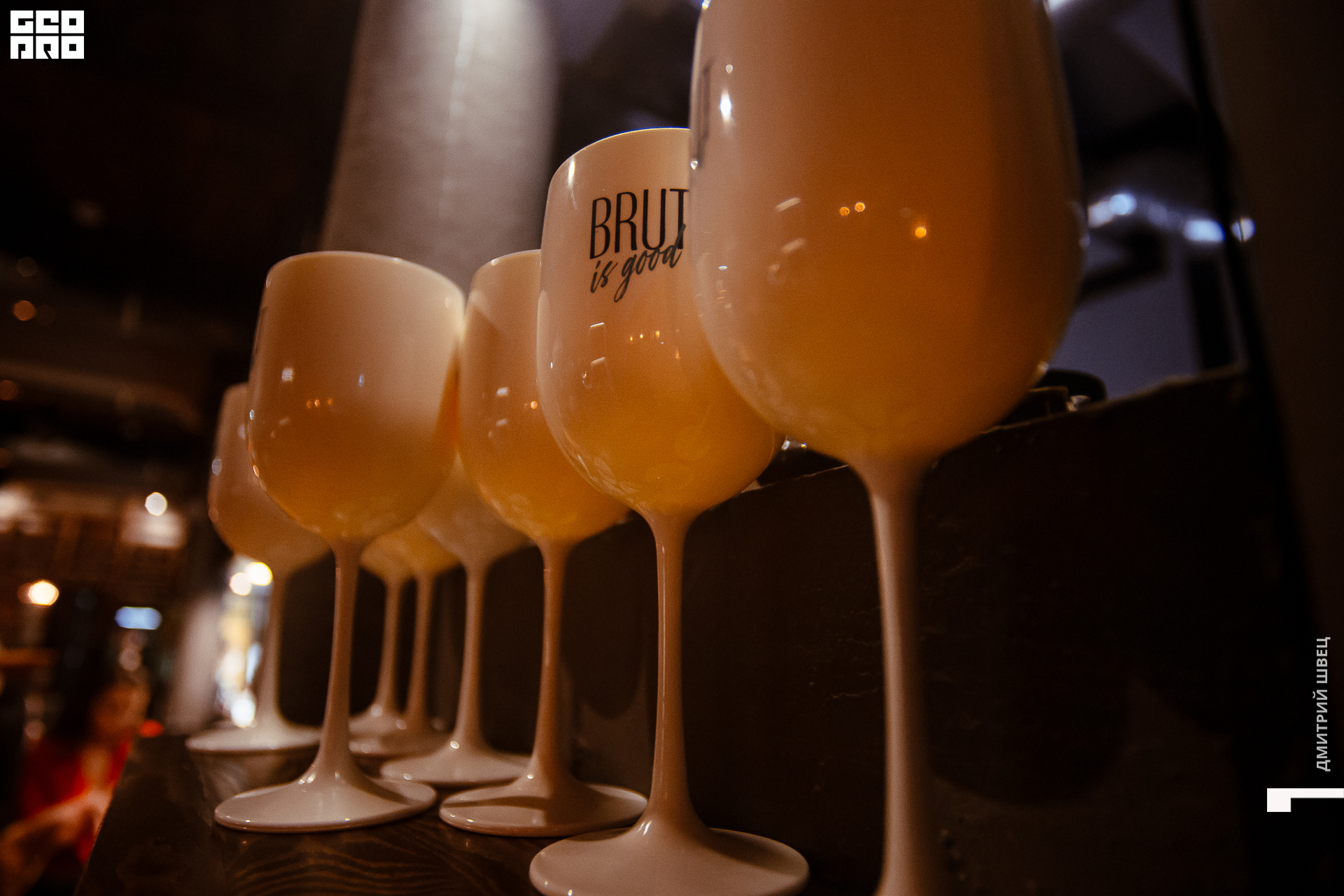 067  2021-11-05 21-11-37 Shvets_.jpg