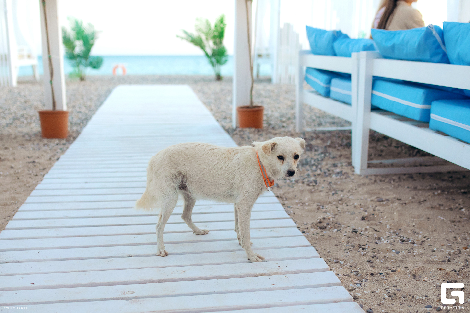 0N5A3120 копия.jpg