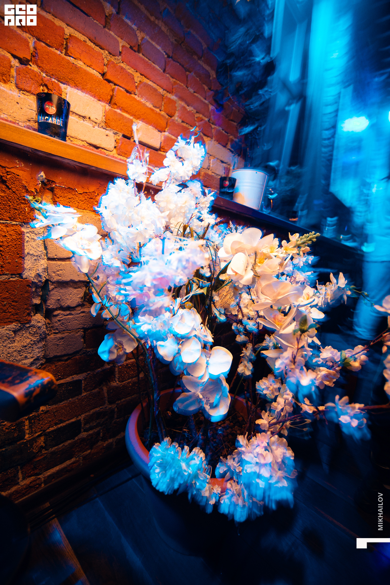 100-08-05-2021-02-28-SD - Mikhailov - 2560.jpg