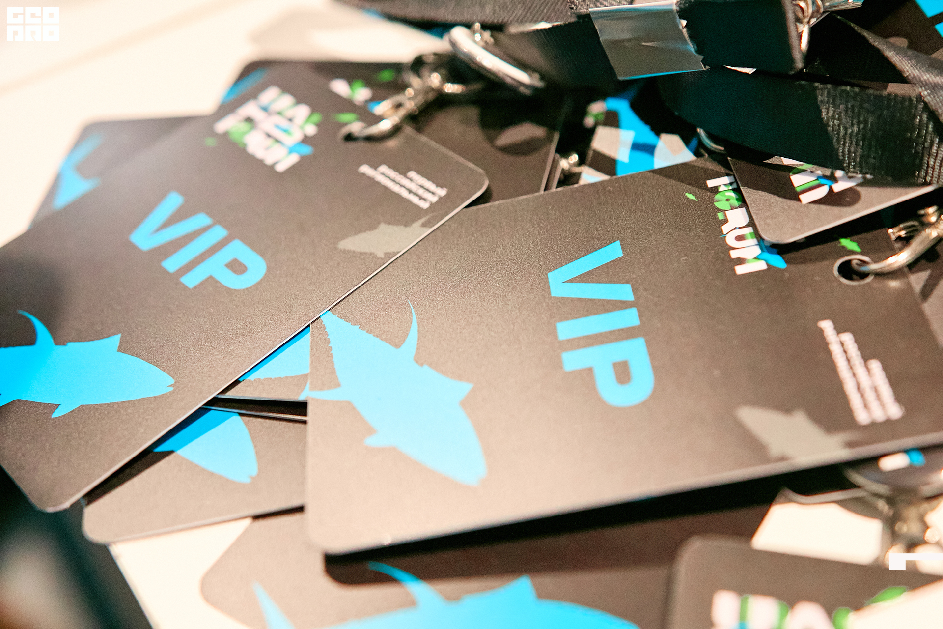 00027 - 2022-09-21 09.40.56 - Alex Bratilov.jpg