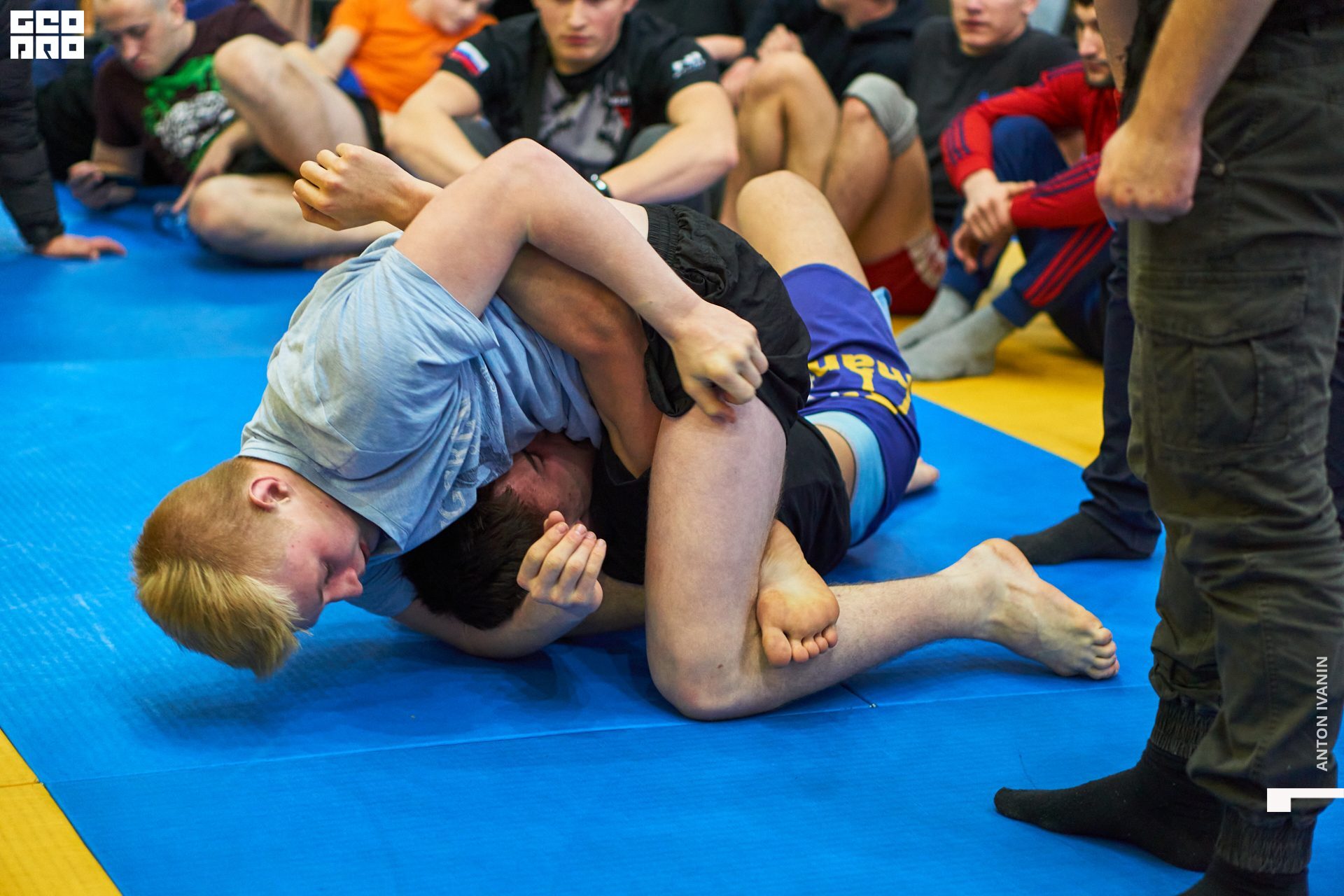 DSC09648 (Копировать).jpg