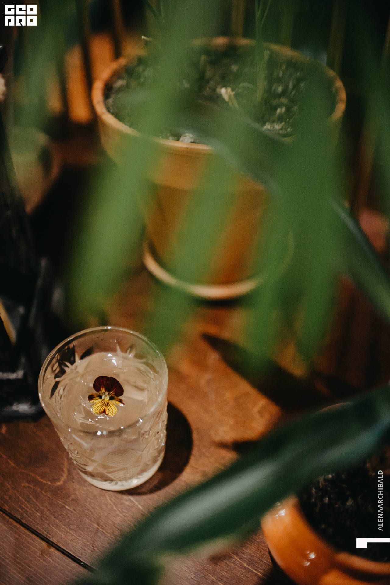 2022-03-06 19-00-24_alenaarchibald053.JPG