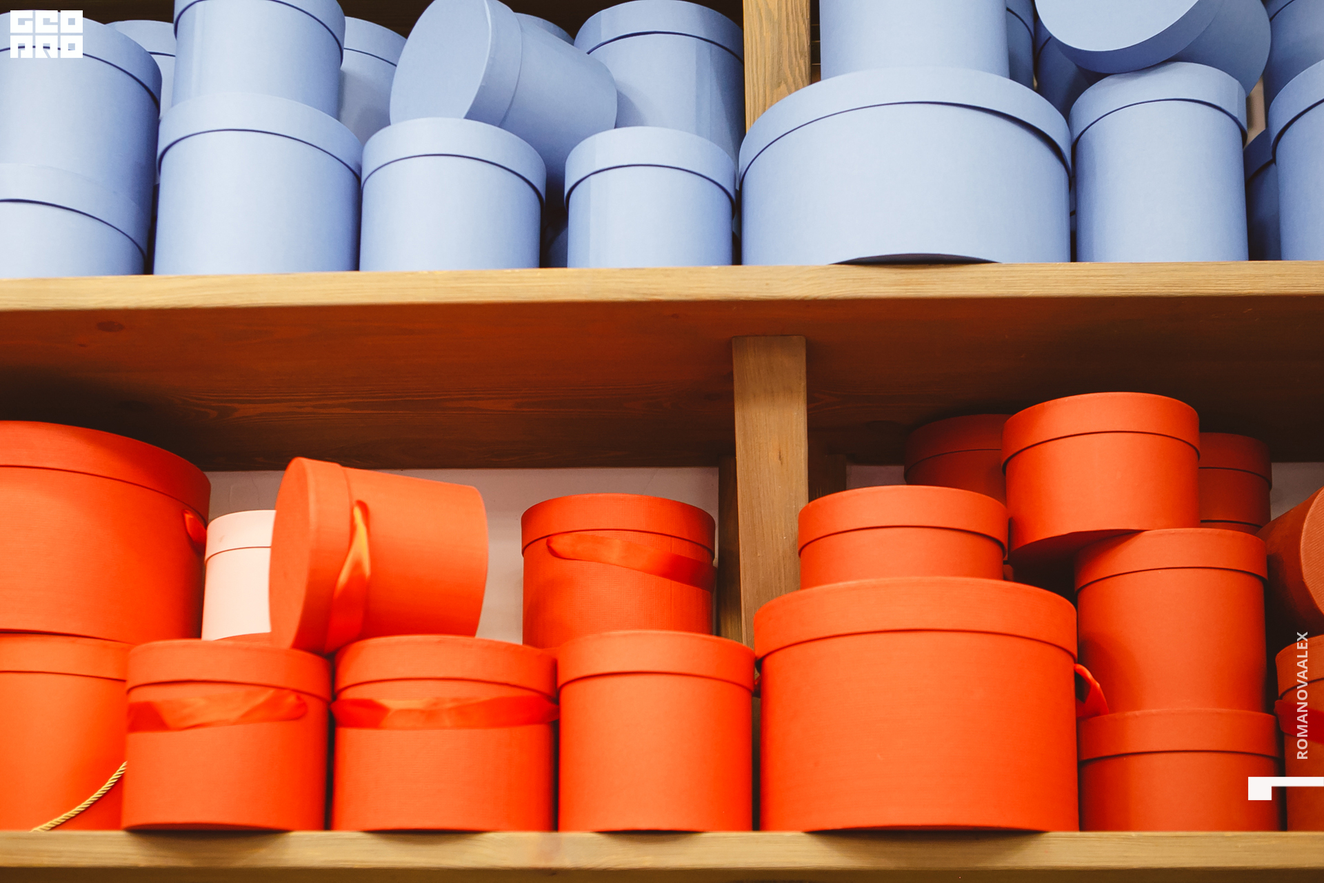 052 210615  203437 _romanovaalex.jpg