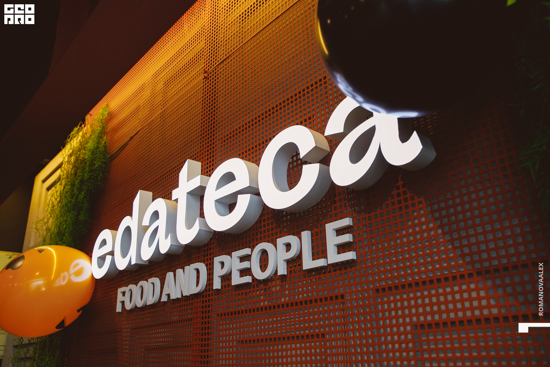 001 311022  014121 @romanovaalex.jpg