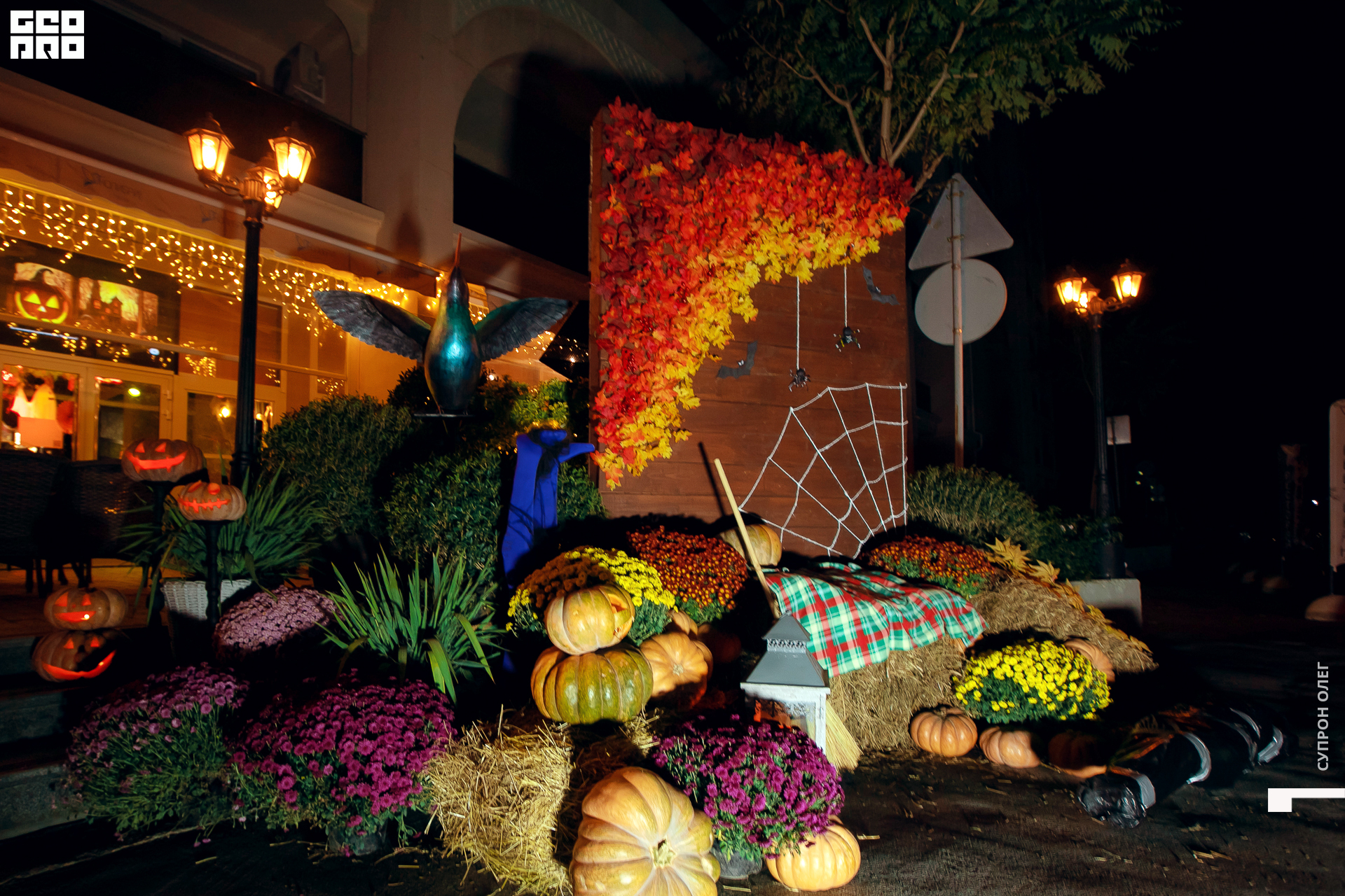 IMG_0669 копия.jpg