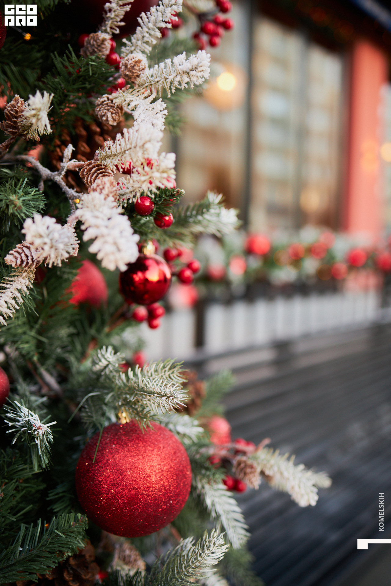 049-2022_12_03-14-42-06 - Komelskih.jpg