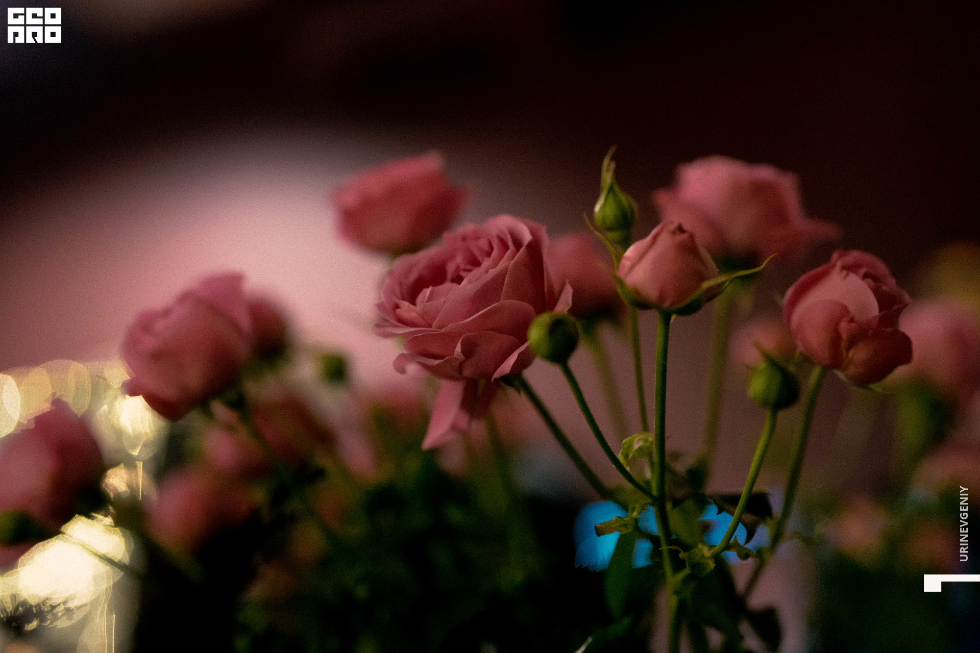 17.12.2020. Хлеб Да Винчик (11).jpg